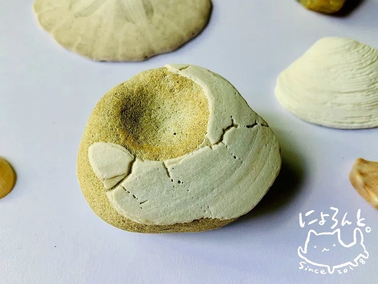 【天然瑪瑙】ガマガエルのみちびき石 大きな貝殻と瑪瑙と貝化石とチャートと！鹿島灘・舎利浜で