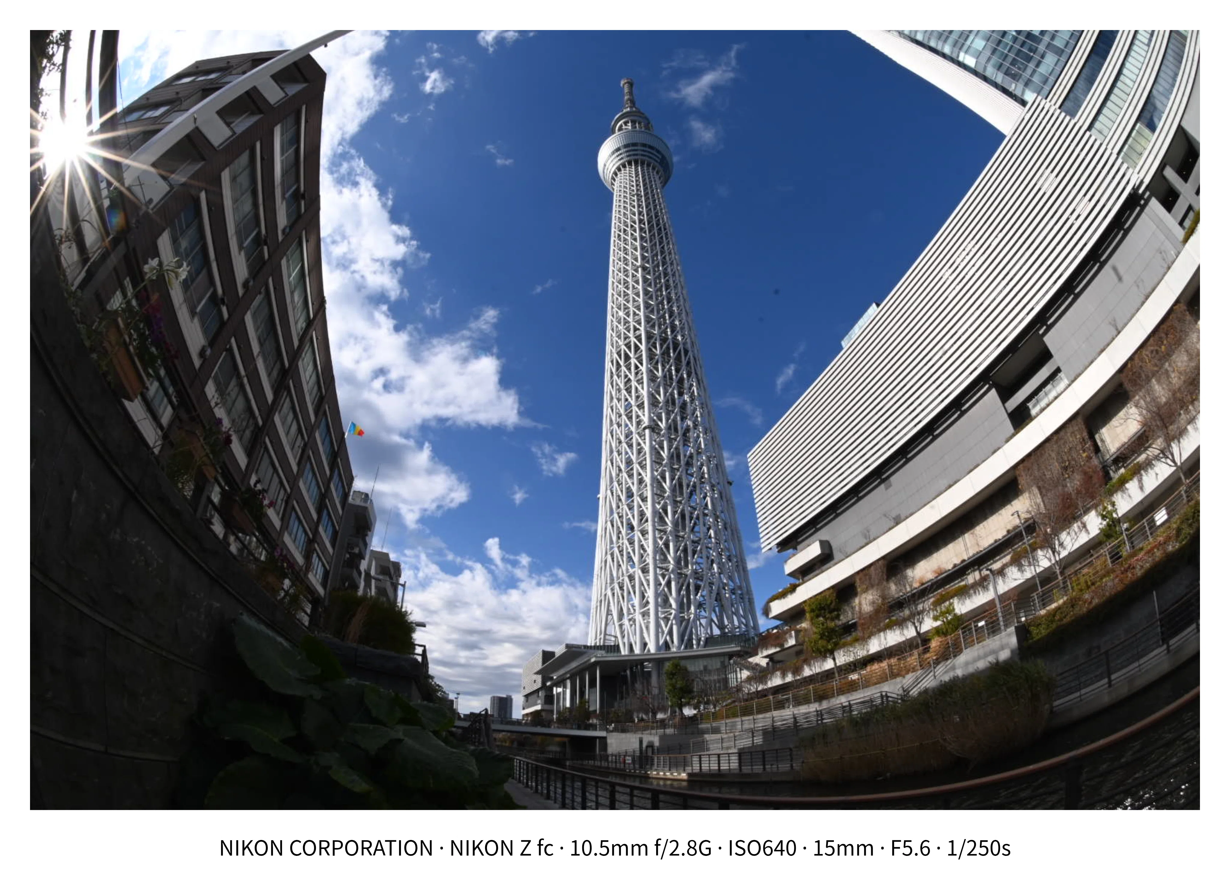 AF DX Fisheye-Nikkor 10.5mm f/2.8G EDを入手したので，スナップ