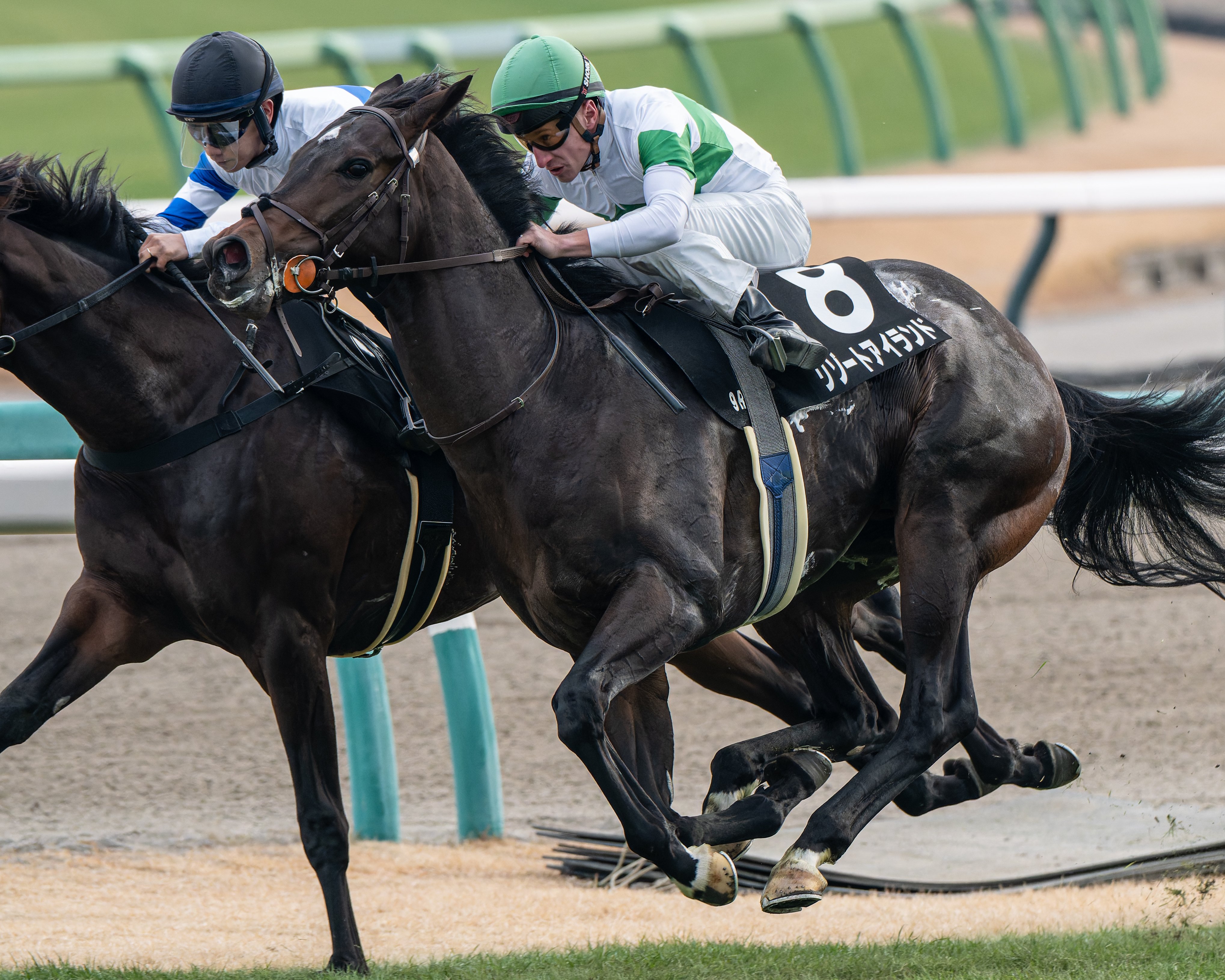 17 満を持して競馬撮影にNIKKOR Z 180-600mm f/5.6-6.3 VRを使う｜好き