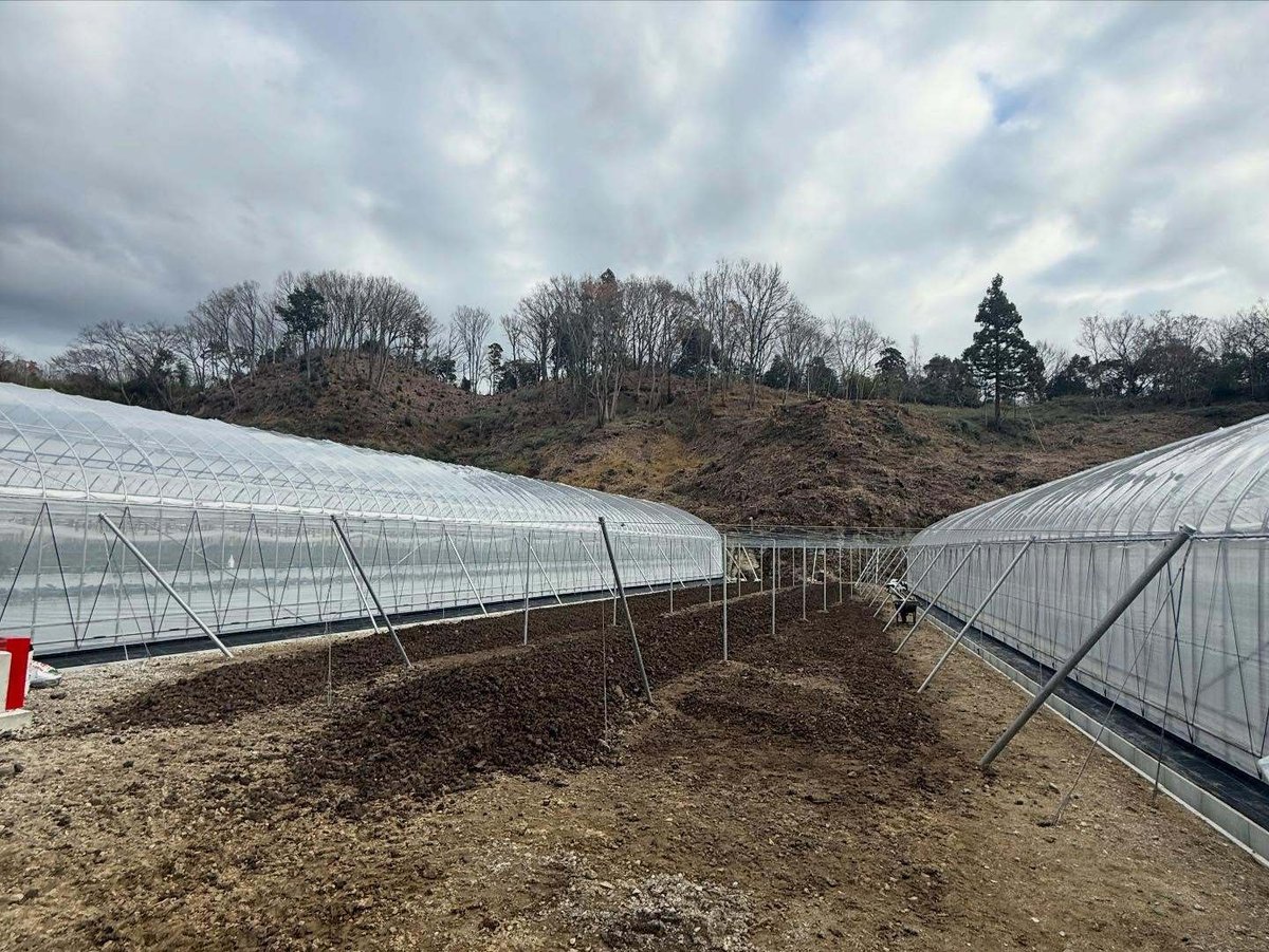 🥝 キウイ棚が完成しました 🥝