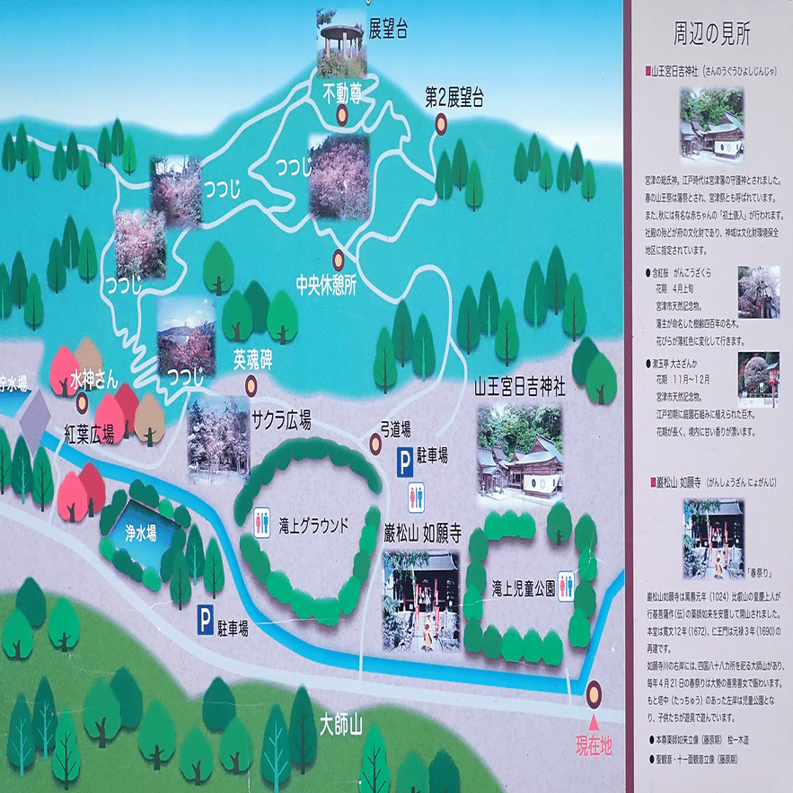 200．宮津市の花コバノミツバツツジ｜sasayan