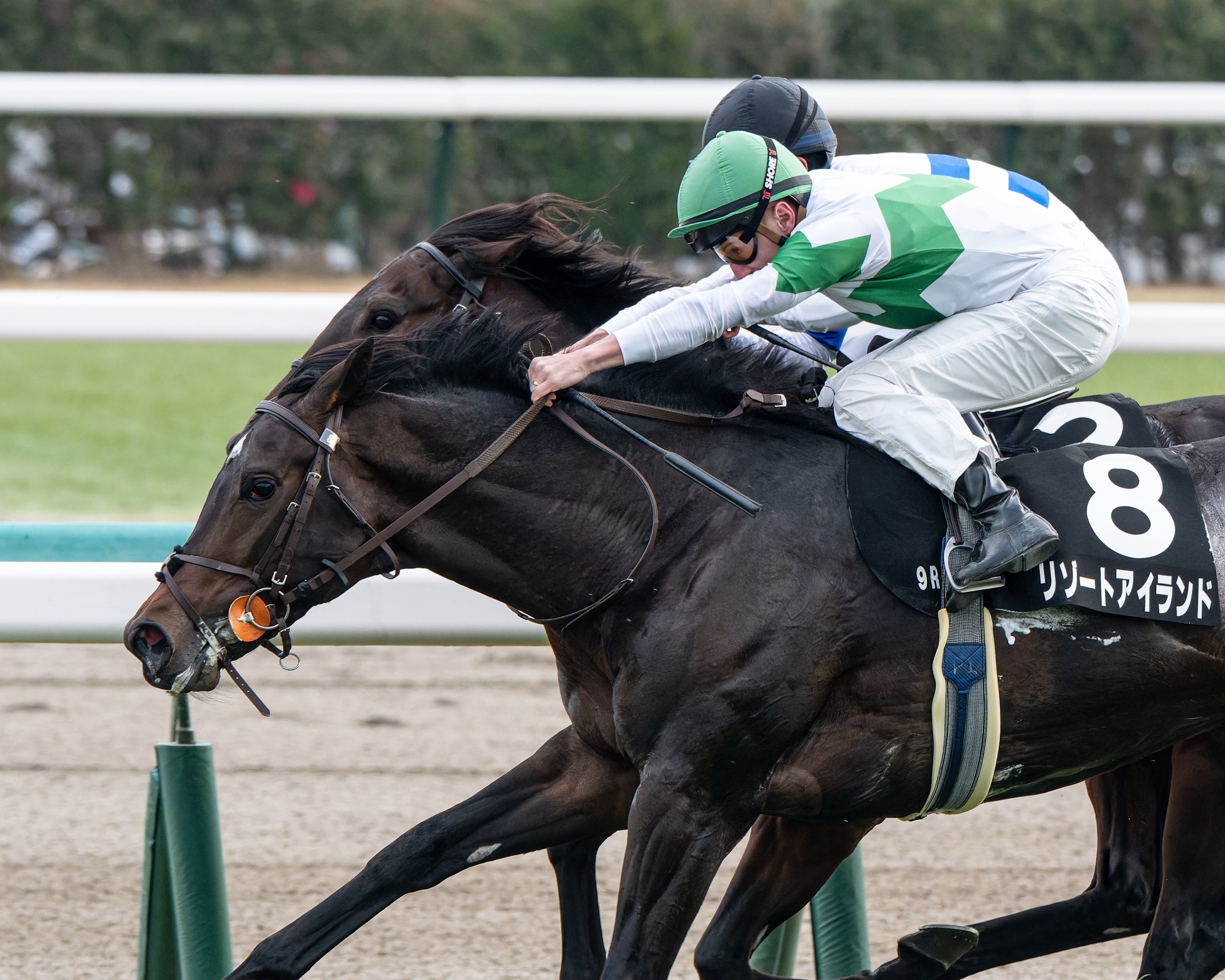 17 満を持して競馬撮影にNIKKOR Z 180-600mm f/5.6-6.3 VRを使う｜好き