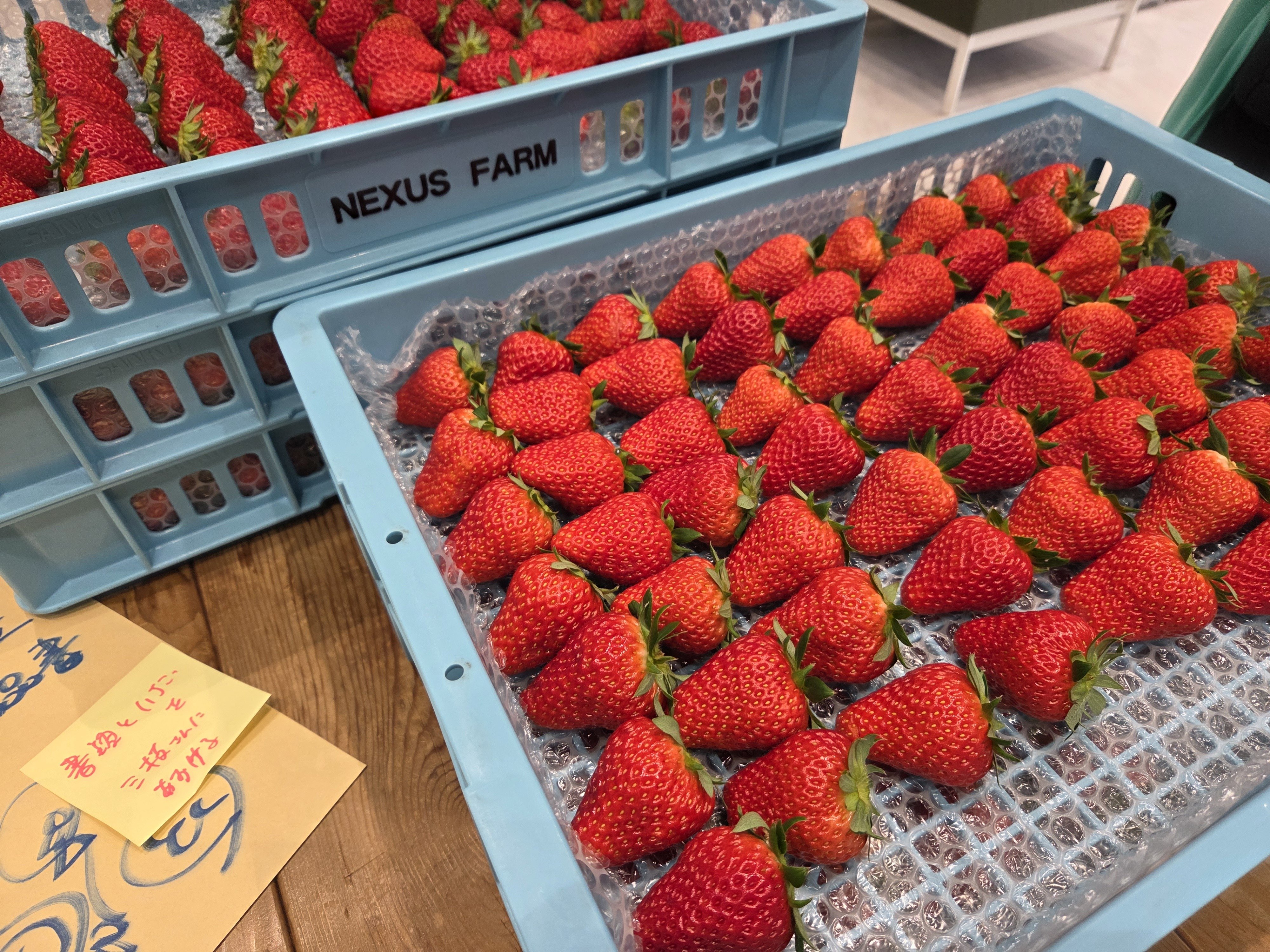 明日12/23からネクサスファームおおくまのいちごの直売がはじまります
