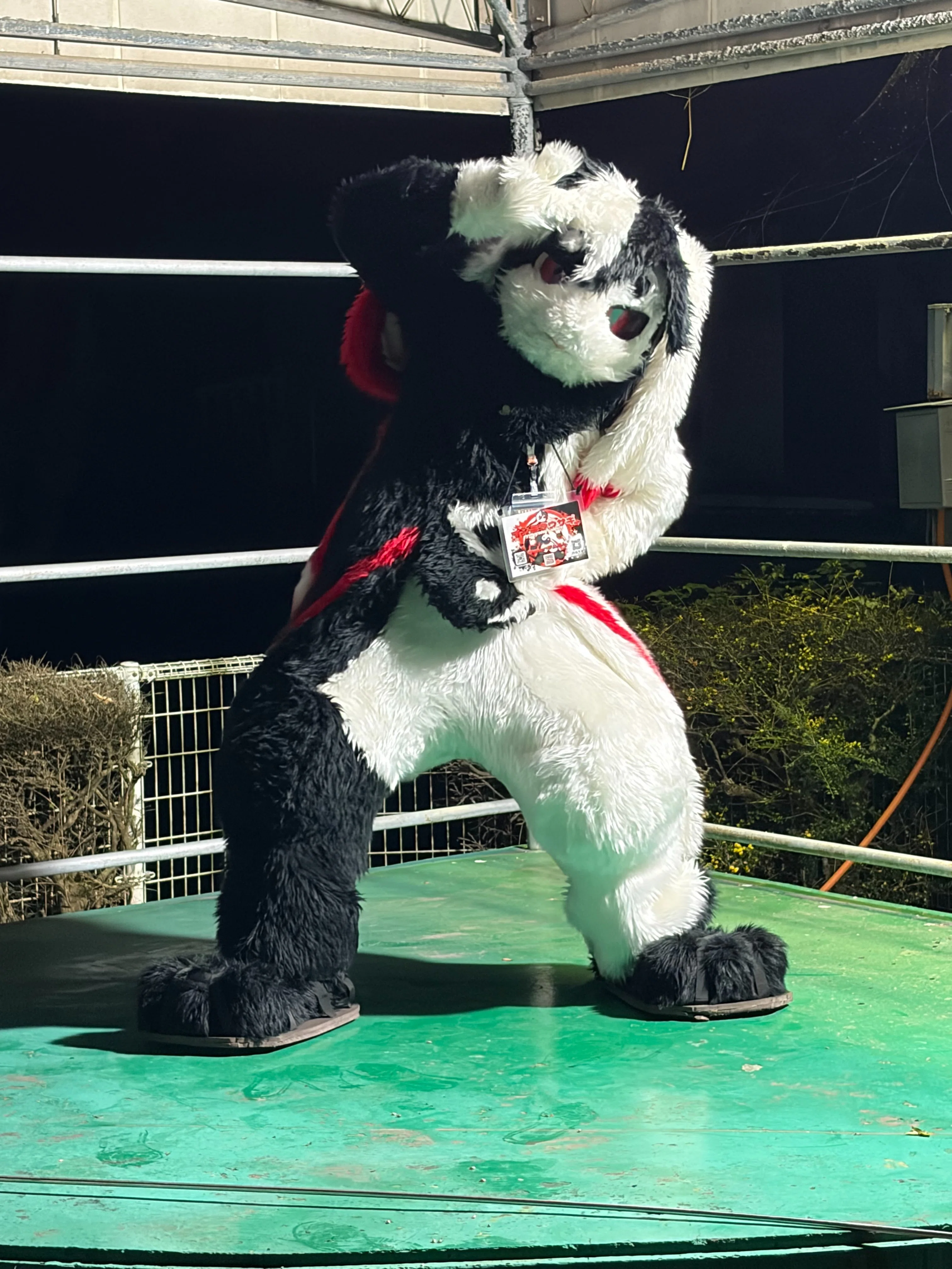 獣ヶ島5to the ADVENTUREに参加してきたレポート 2/3｜サムさん（イン