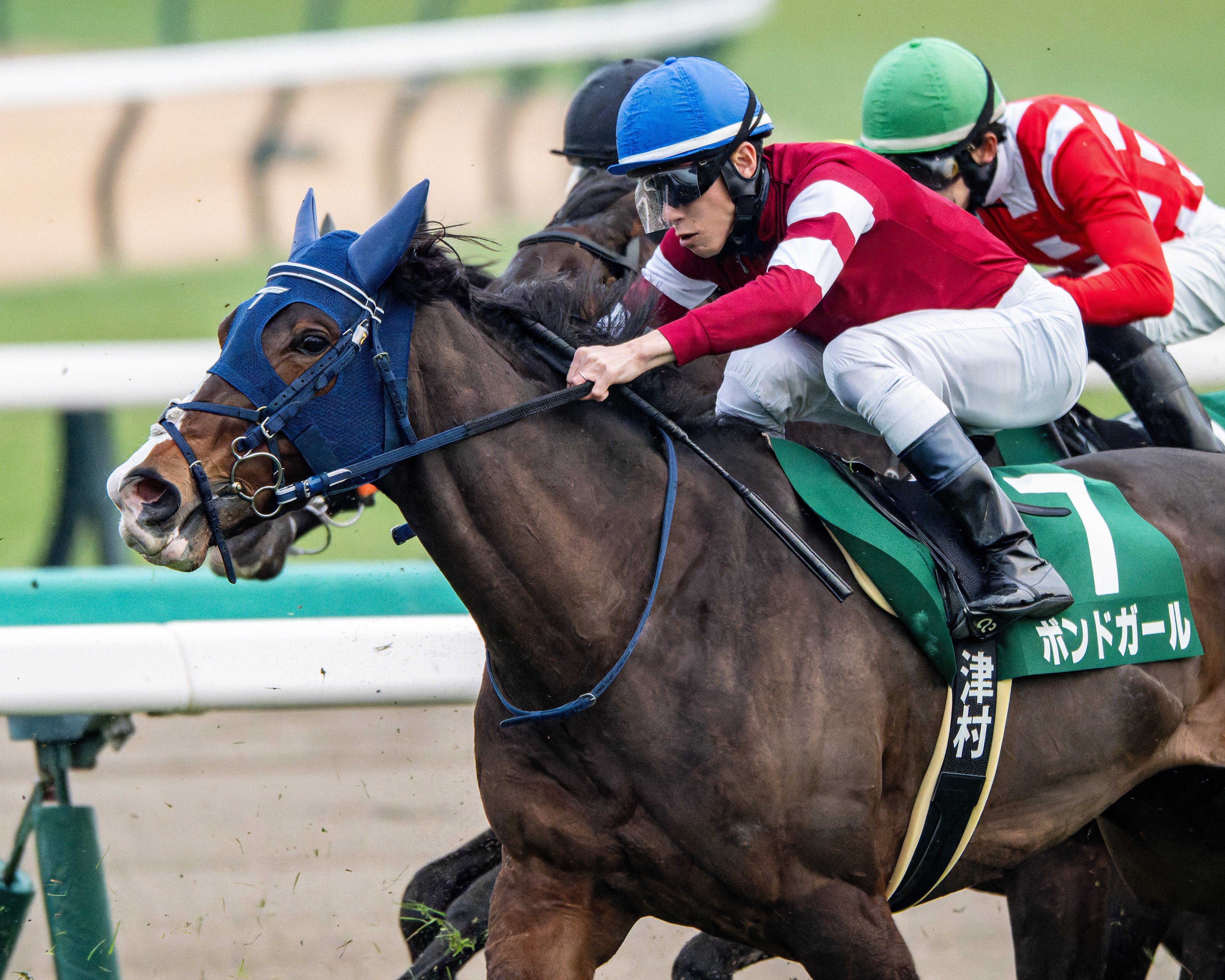 17 満を持して競馬撮影にNIKKOR Z 180-600mm f/5.6-6.3 VRを使う｜好き