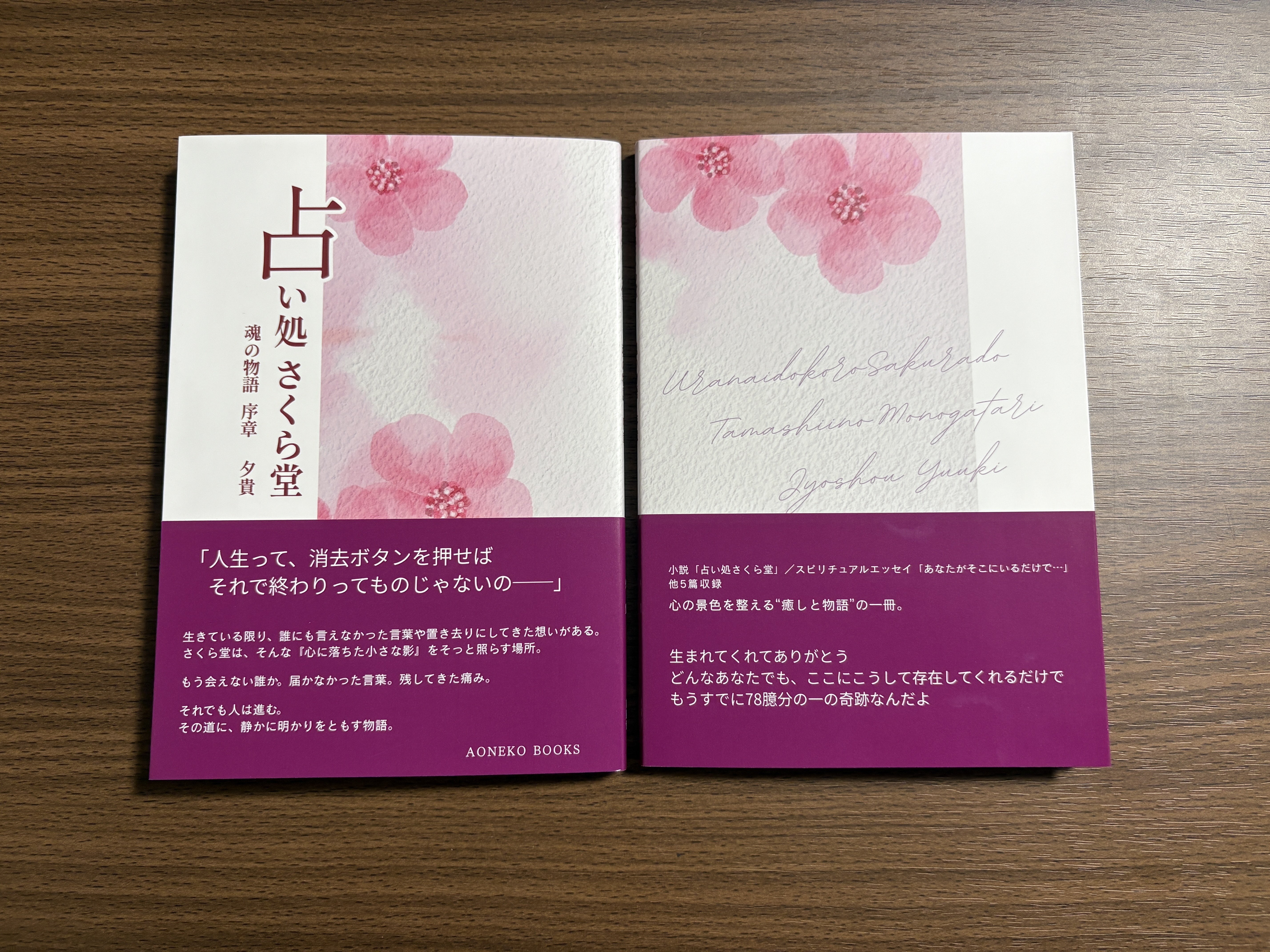 印刷所からZINEが届きました。イベントまであと一か月｜青猫堂（夕貴）