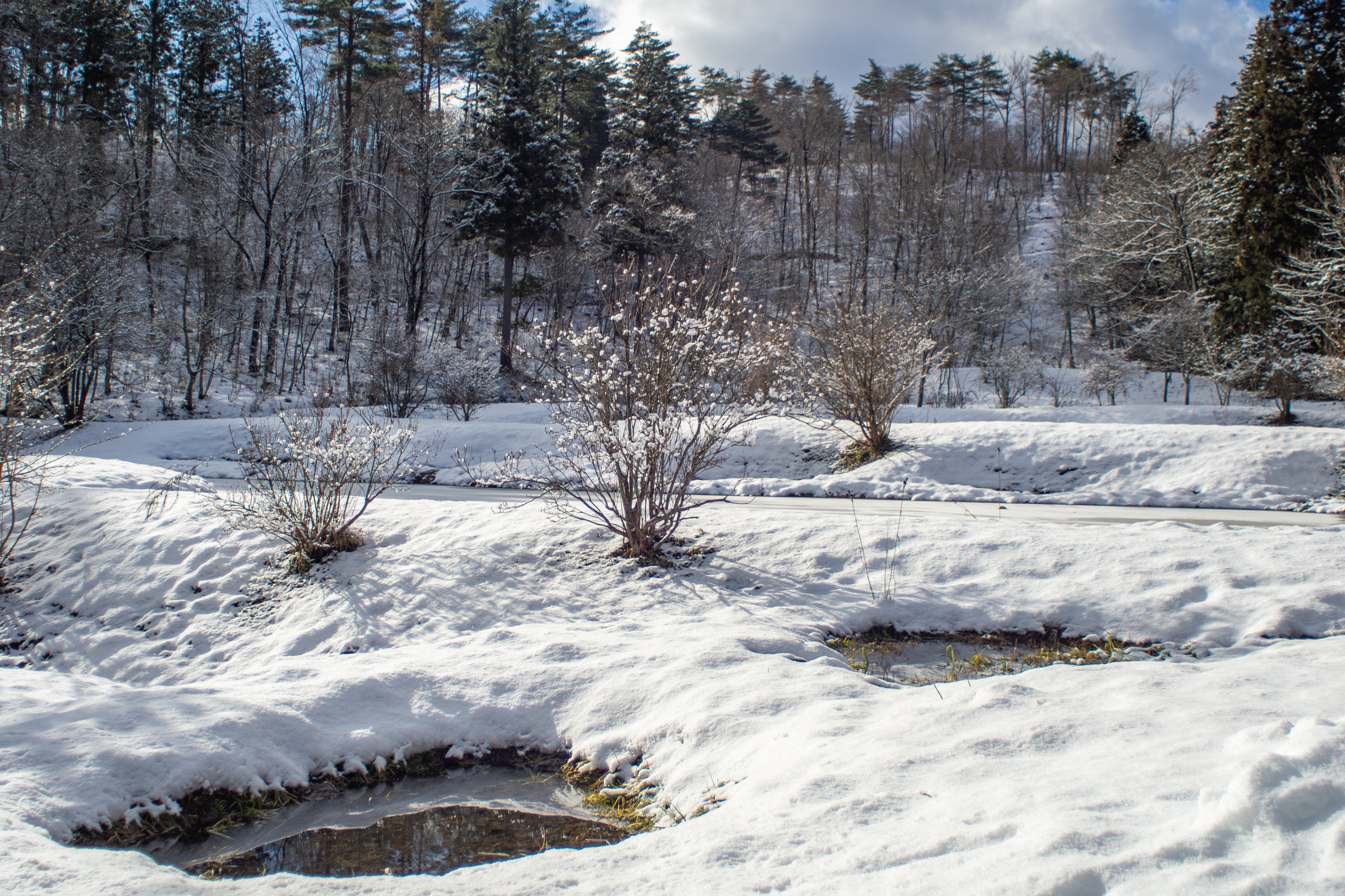 雪の里山歩き × OMオールドレンズ OLYMPUS ZUIKO AUTO-W 18㎜ F3.5