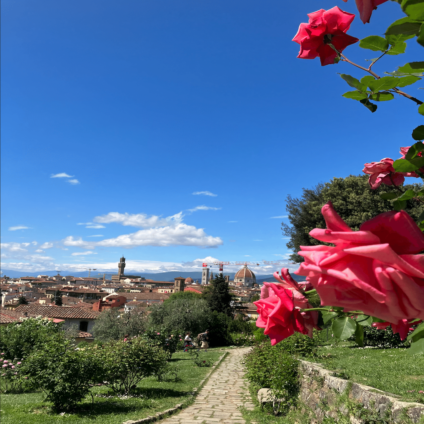 海外生活】 〜イタリアの歴史都市に暮らすということ Part.2