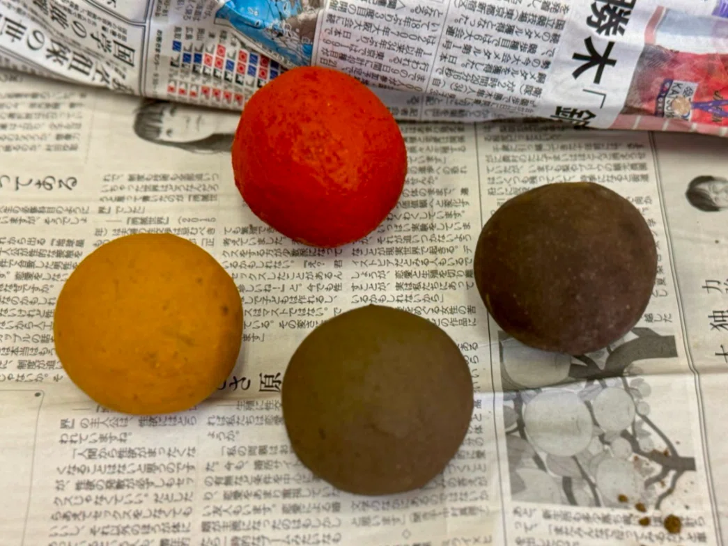 ずっと泥団子でいいのに。。。｜藤井一至