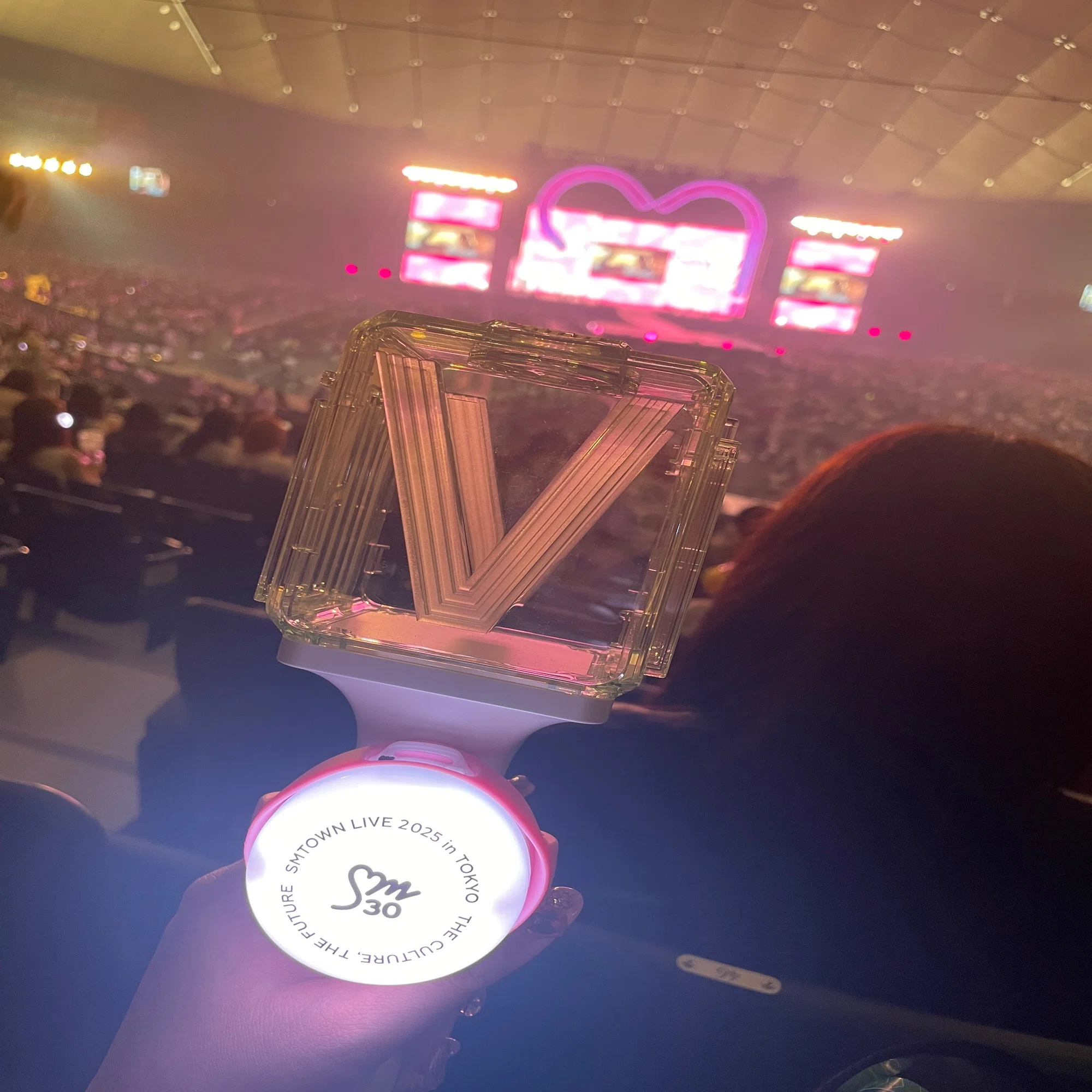 2025年を振り返る②下半期編（主に威神V）｜sk