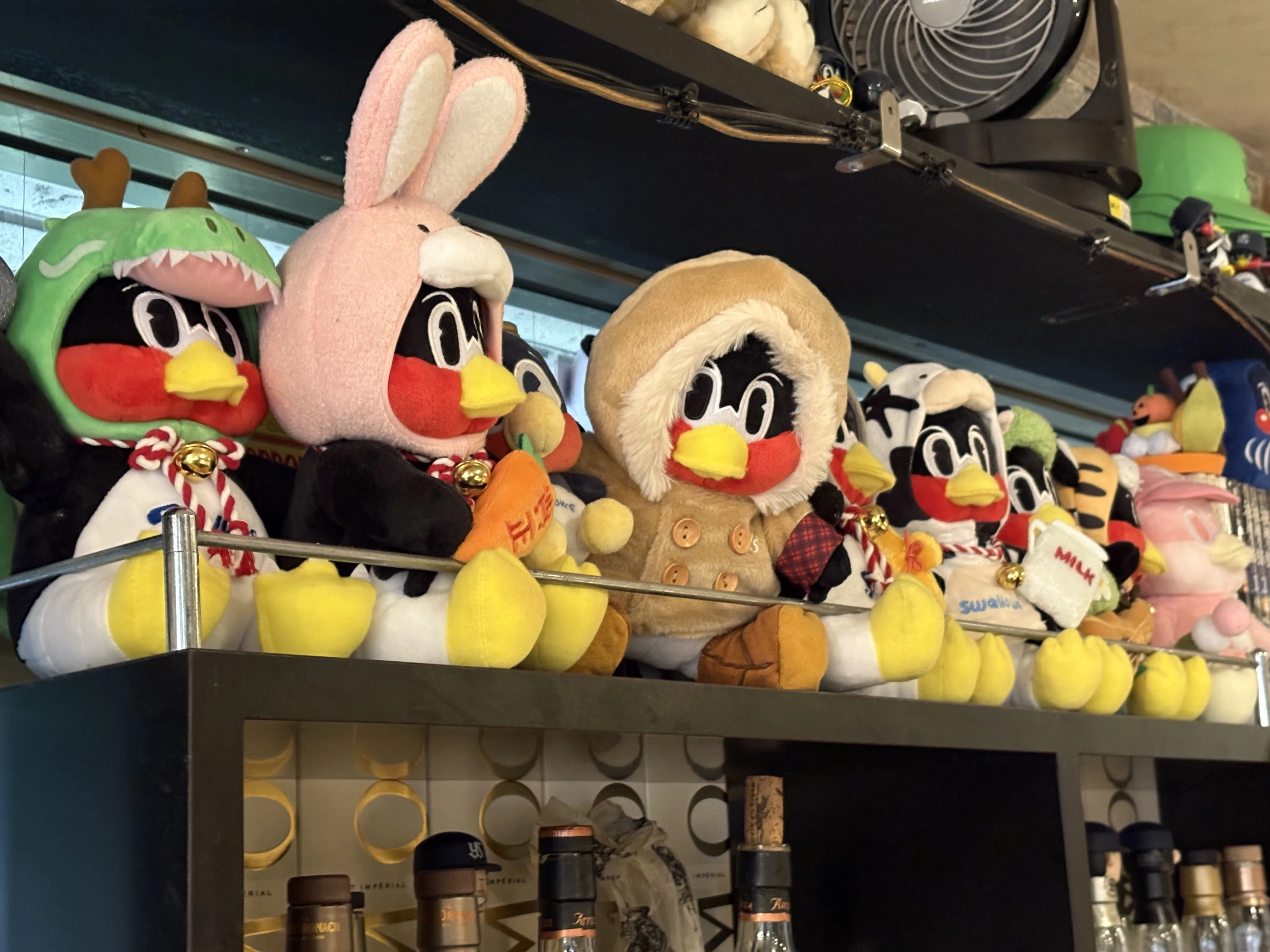 ヤクルトスワローズ推しのピザ🍕専門店｜野猿（やえん）
