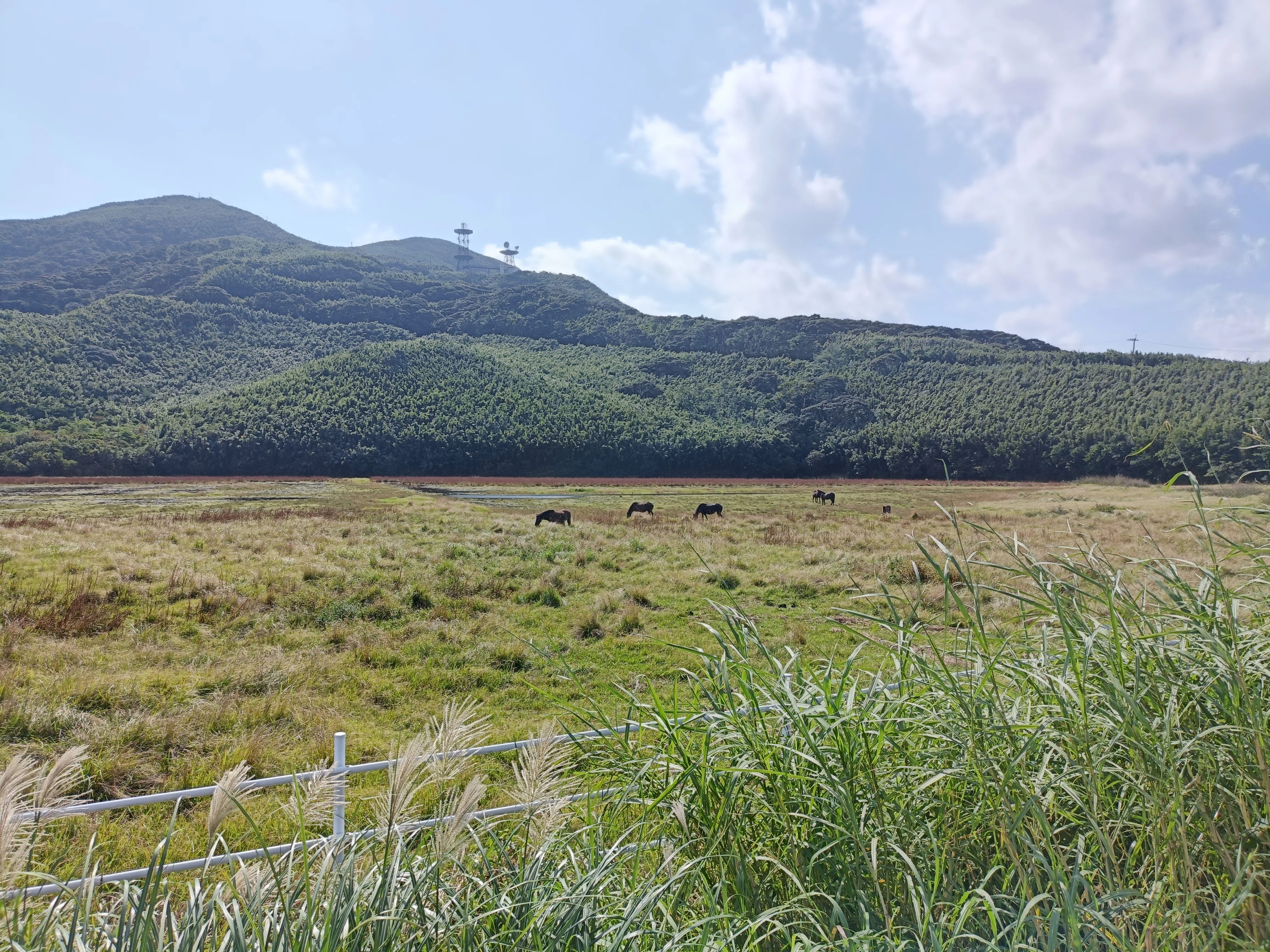 旅行記】鹿児島・トカラ列島中之島で秘境を全身で感じた3連休 ②｜℃hukichi