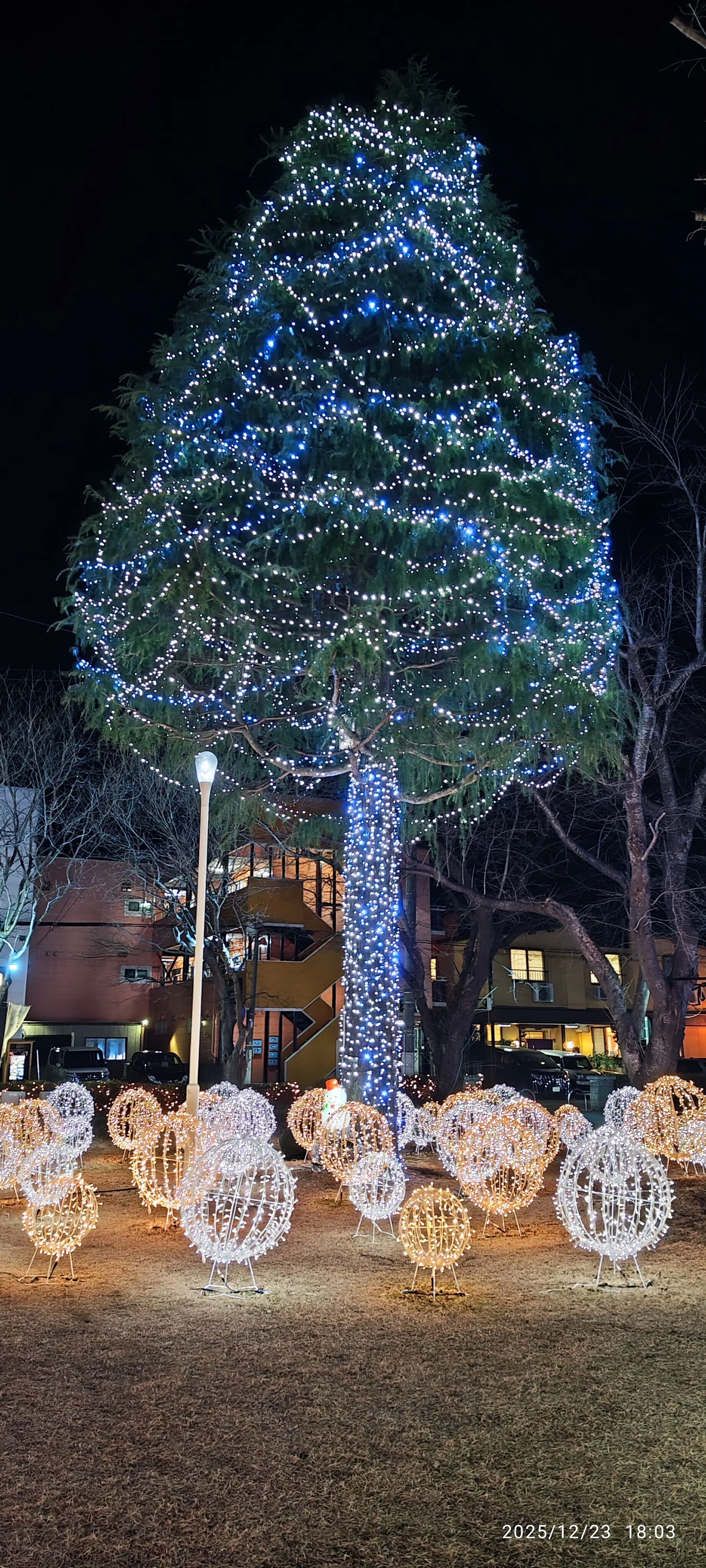 メリークリスマス🎄🎂｜keisuke