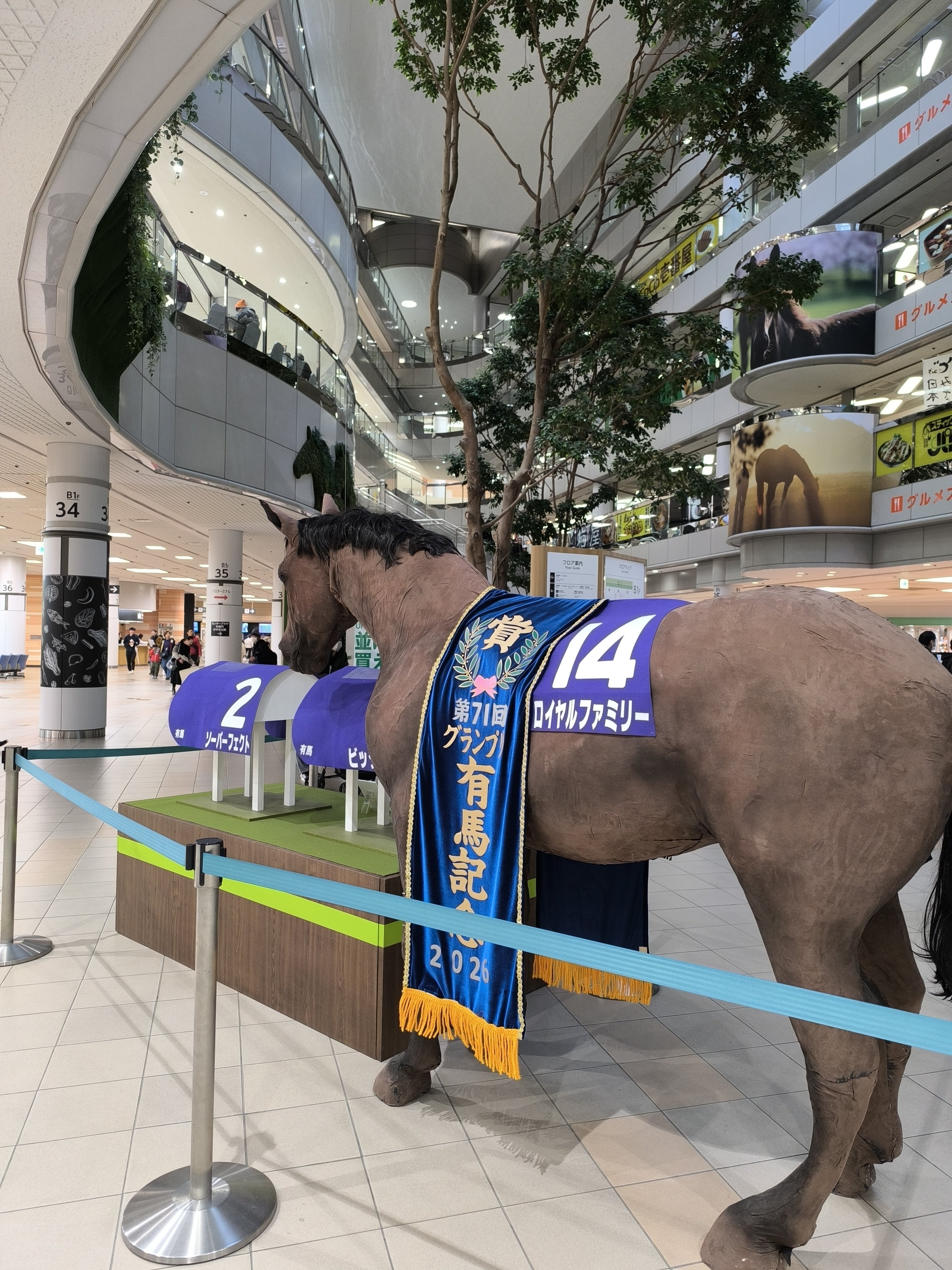 17 満を持して競馬撮影にNIKKOR Z 180-600mm f/5.6-6.3 VRを使う｜好き