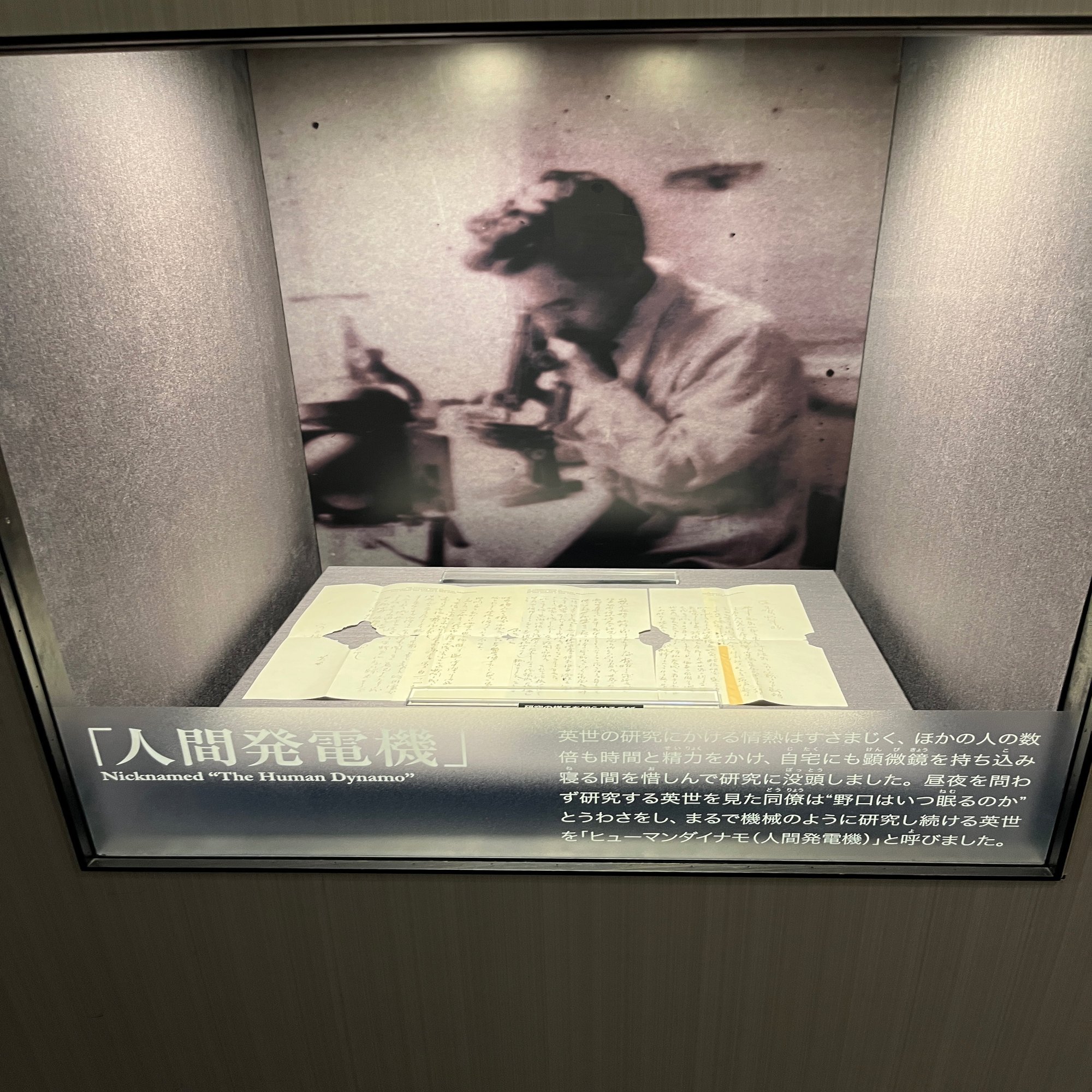 野口英世の「不屈の魂」｜志を得ざれば再び此の地を踏まず｜野口英世記念館で触れた意思｜阿部宏紀（YASIN）