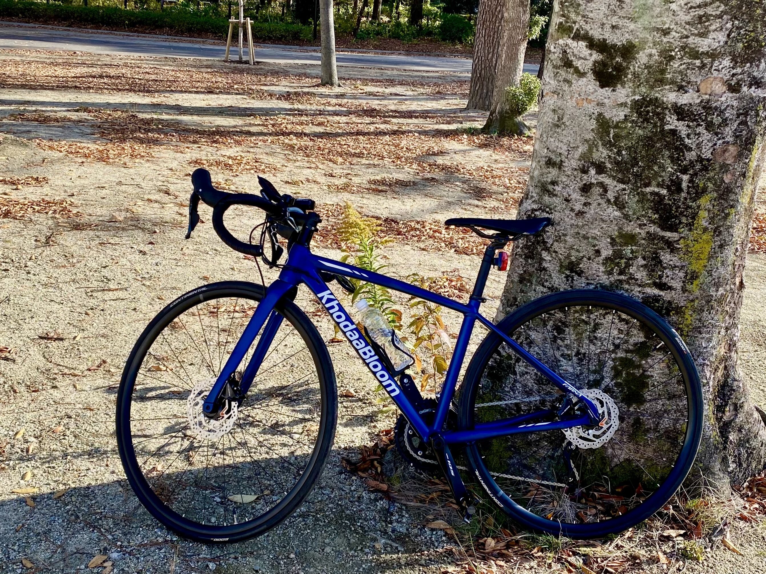 推しすらいないのに？」身長153cmの初心者がロードバイクを買うまでの