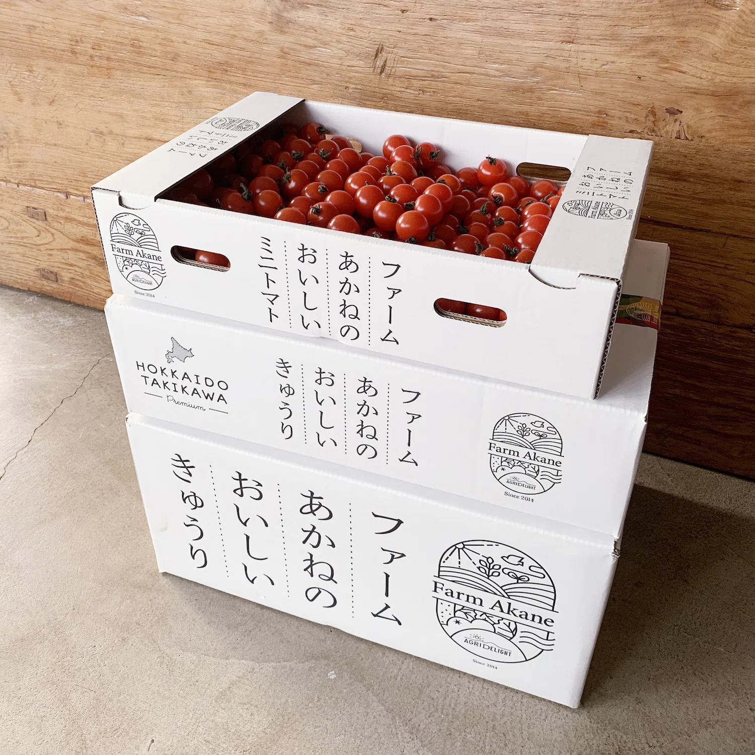 株式会社つむぱぱ社って、こんな会社！｜安田舜｜ファミリー向けの企画