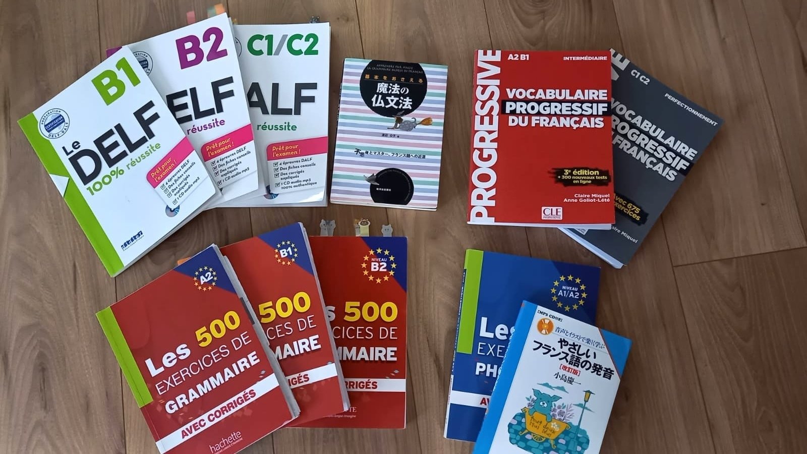 フランス語習得への道 その3】 C1になるまでに本当に役に立った参考書
