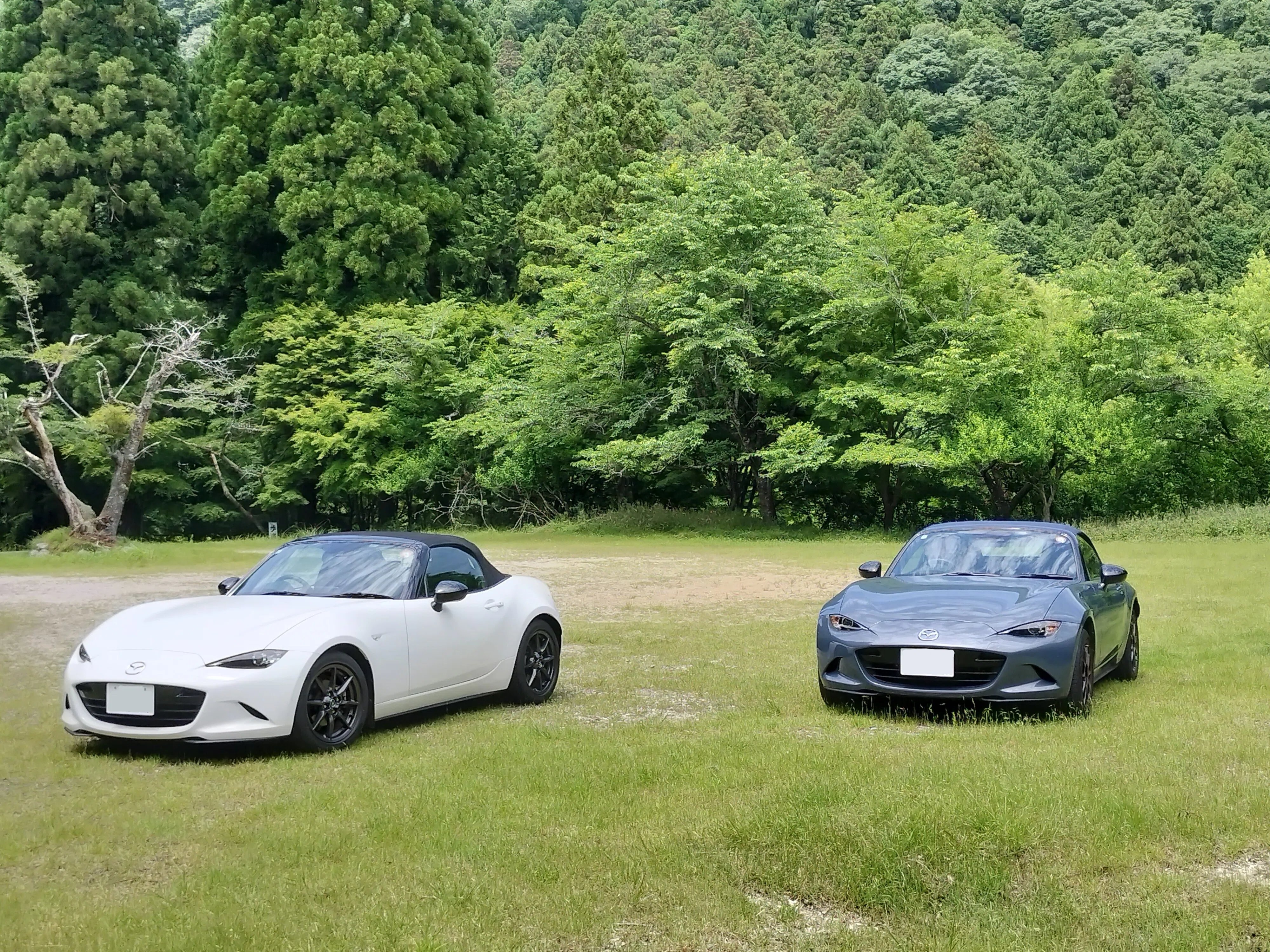 ロードスター 990S】素人目線でみる無印ロードスターとの違い｜prprcorgi