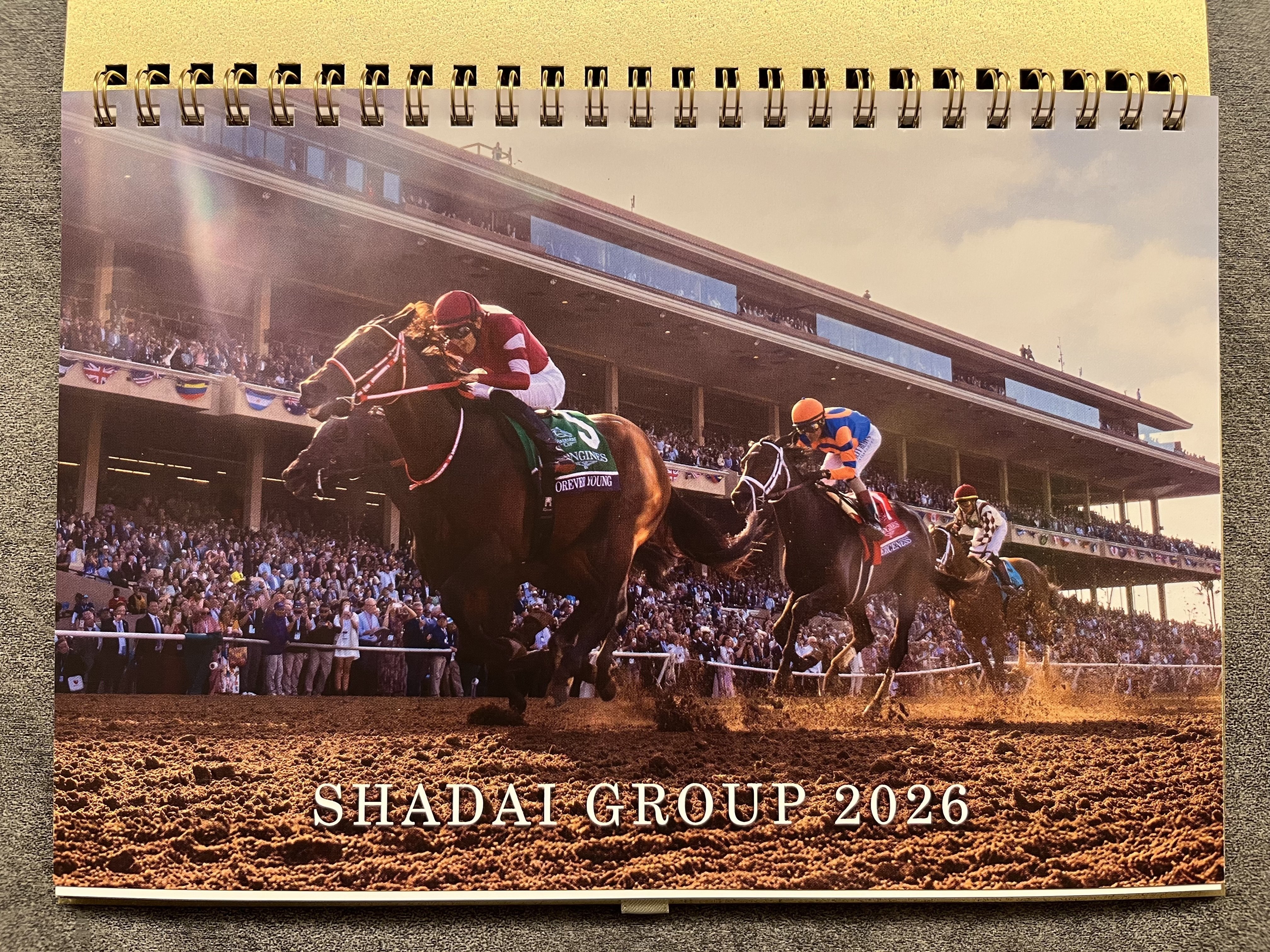 社台サンデー会員になると、毎年もらえるクリスマスプレゼント｜目指せ