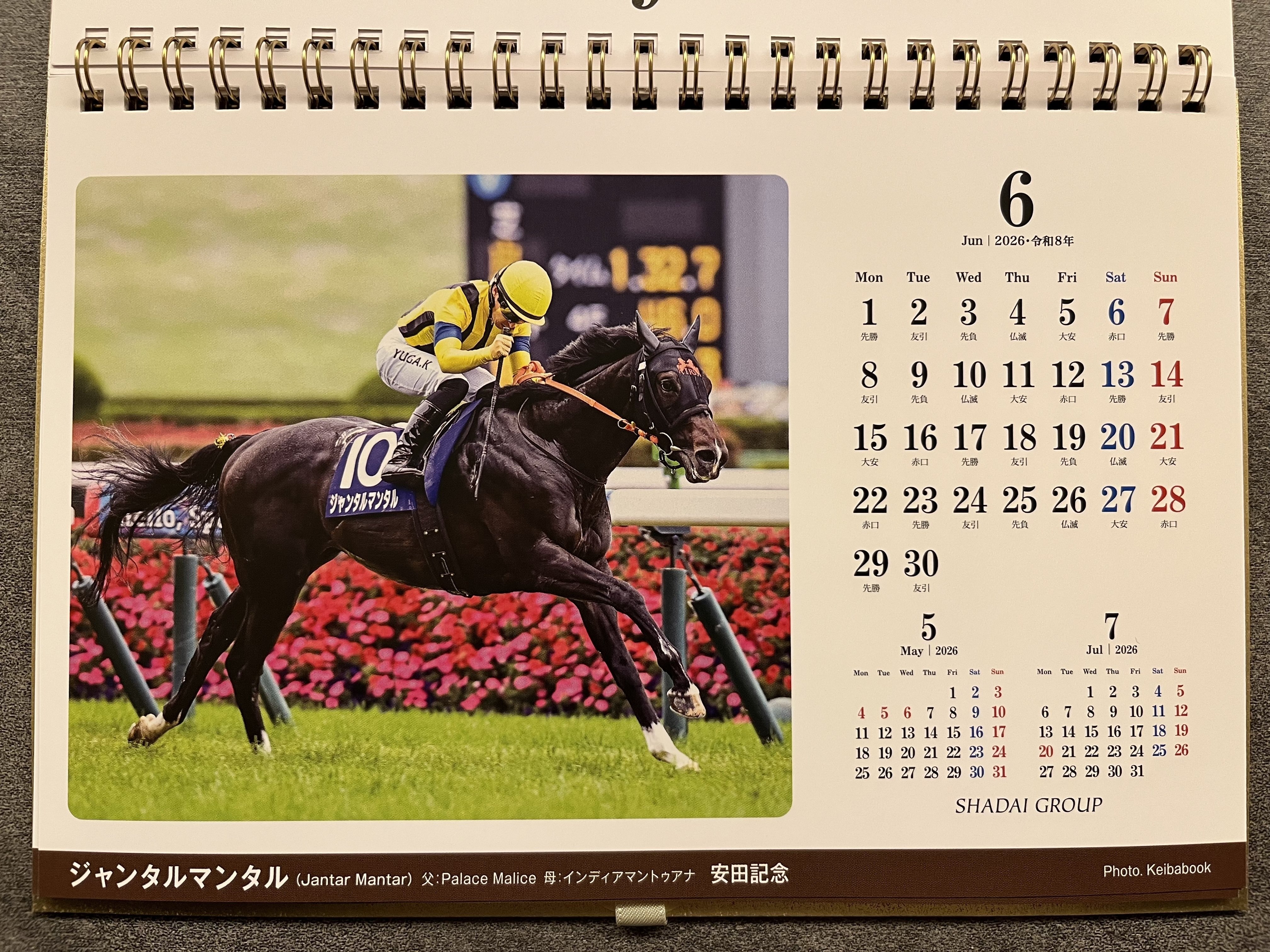 社台サンデー会員になると、毎年もらえるクリスマスプレゼント｜目指せ