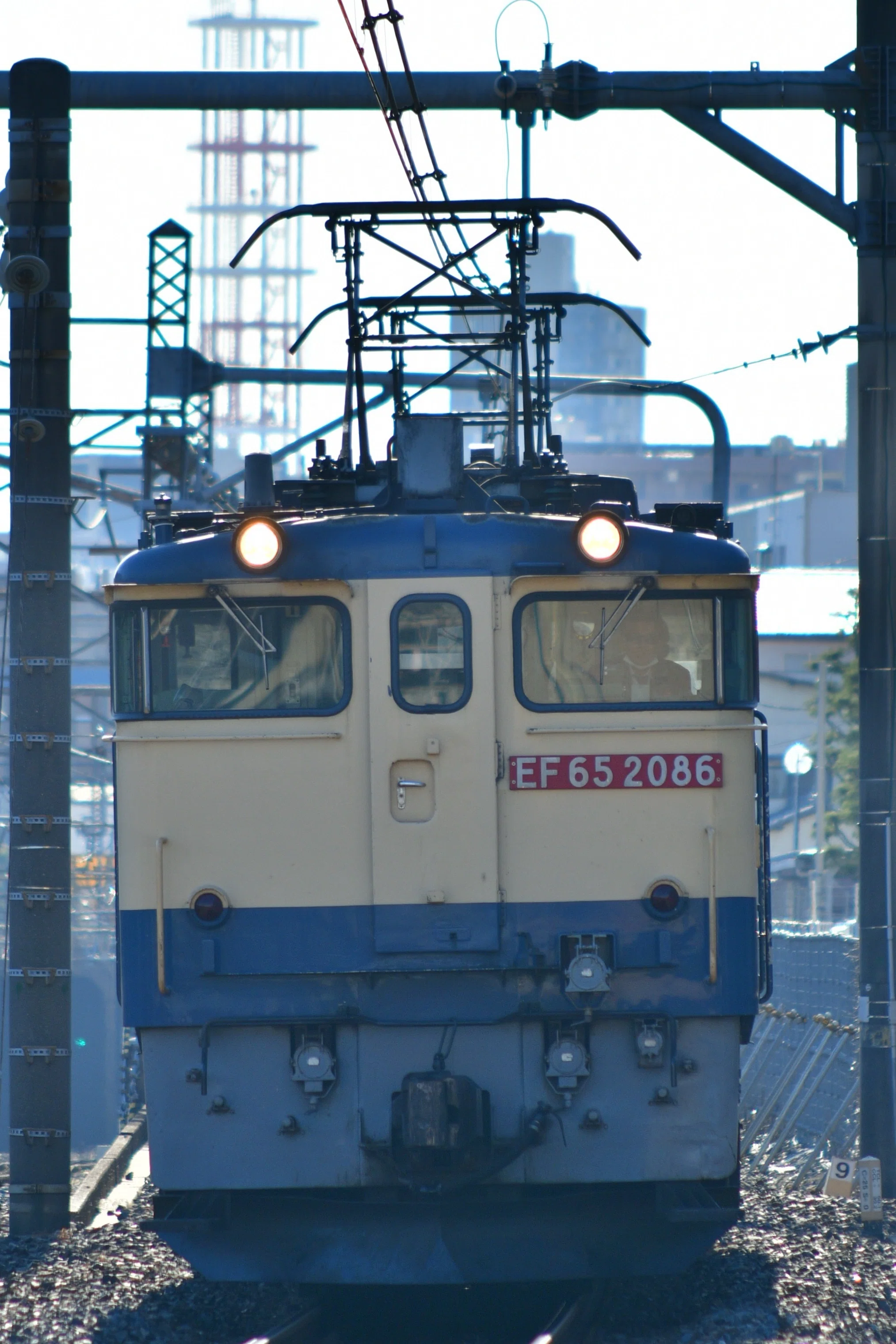 Ai AF zoom nikkor 70-210mm f4-5.6D｜ぴーすけ