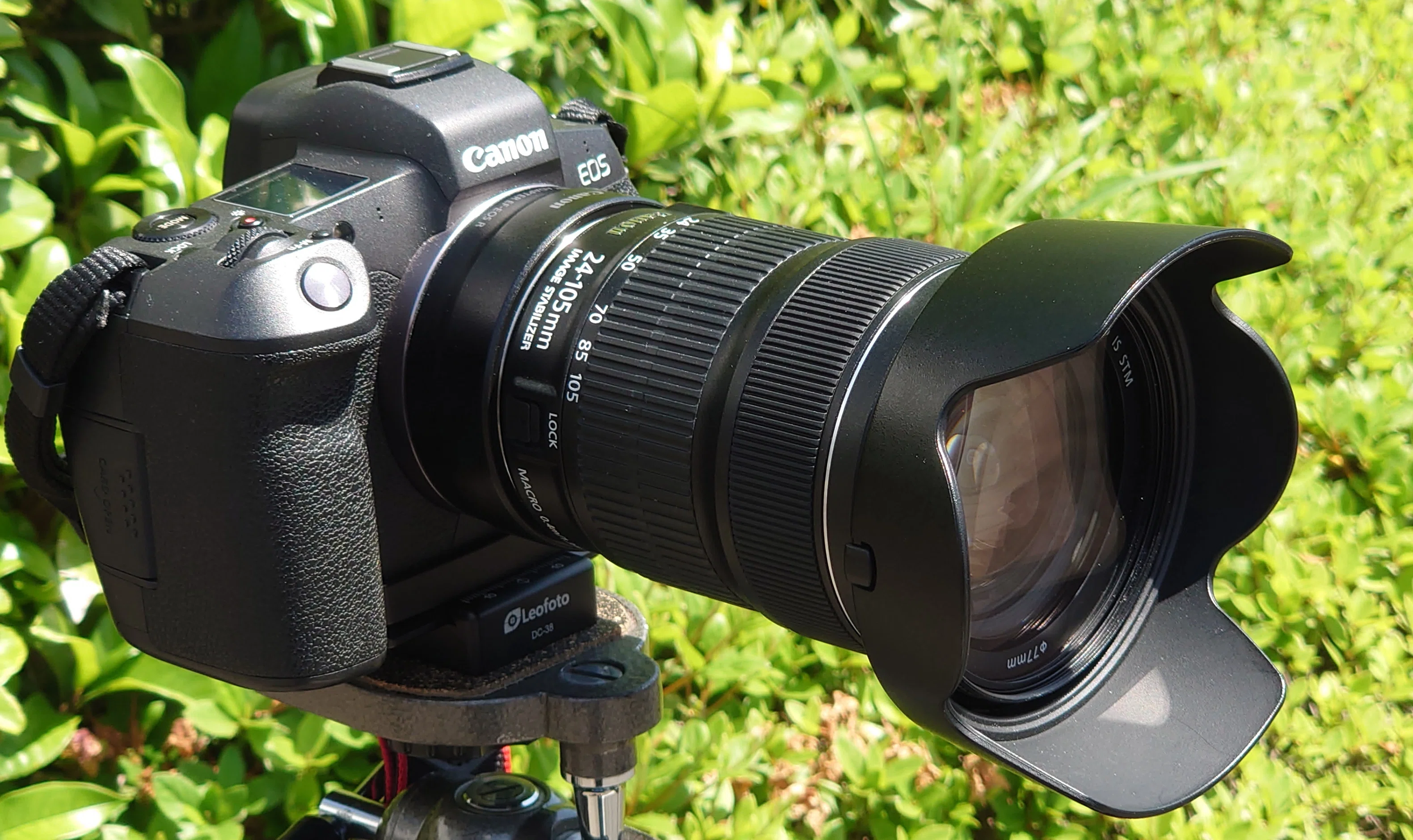 一眼レフ時代の残照 EF24-105mm F3.5-5.6 IS STM｜大佐藤