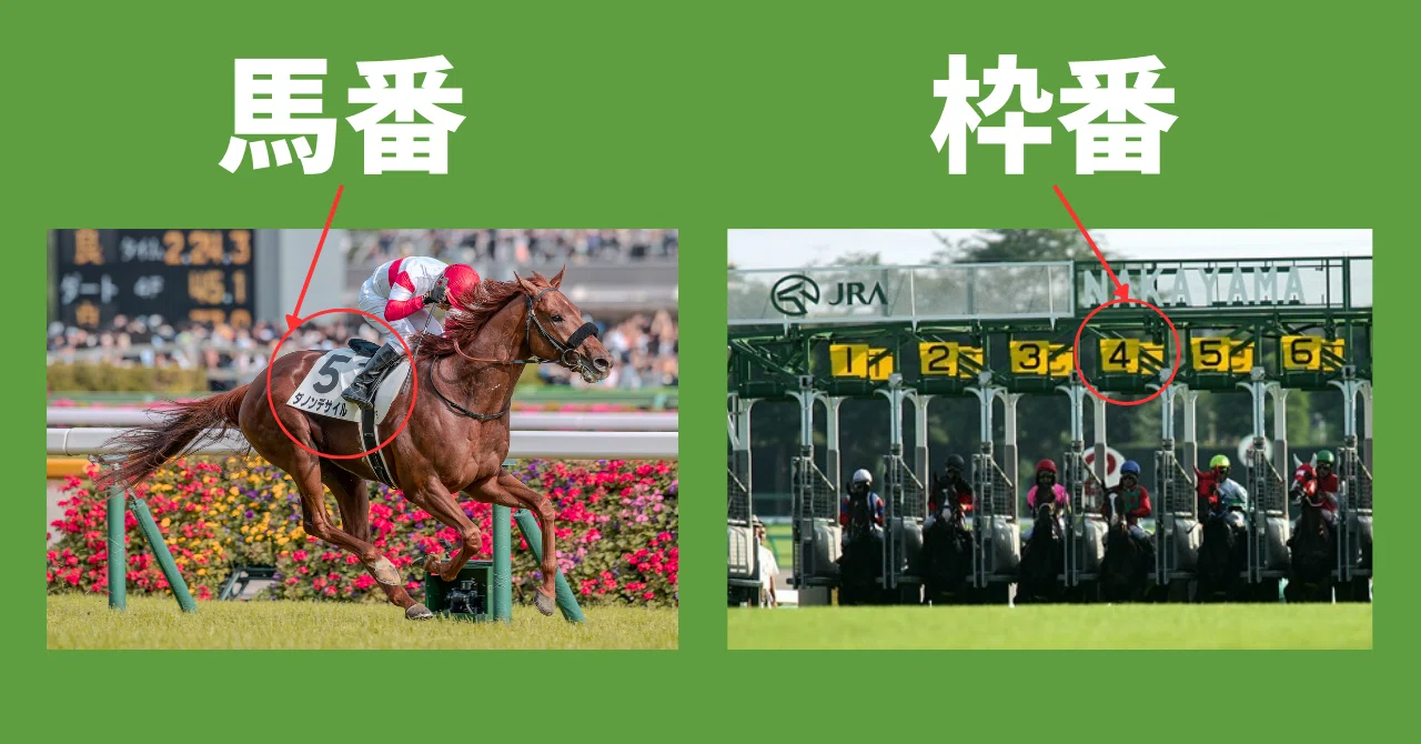 有馬記念から初めて競馬を賭ける方へ｜トミサワ