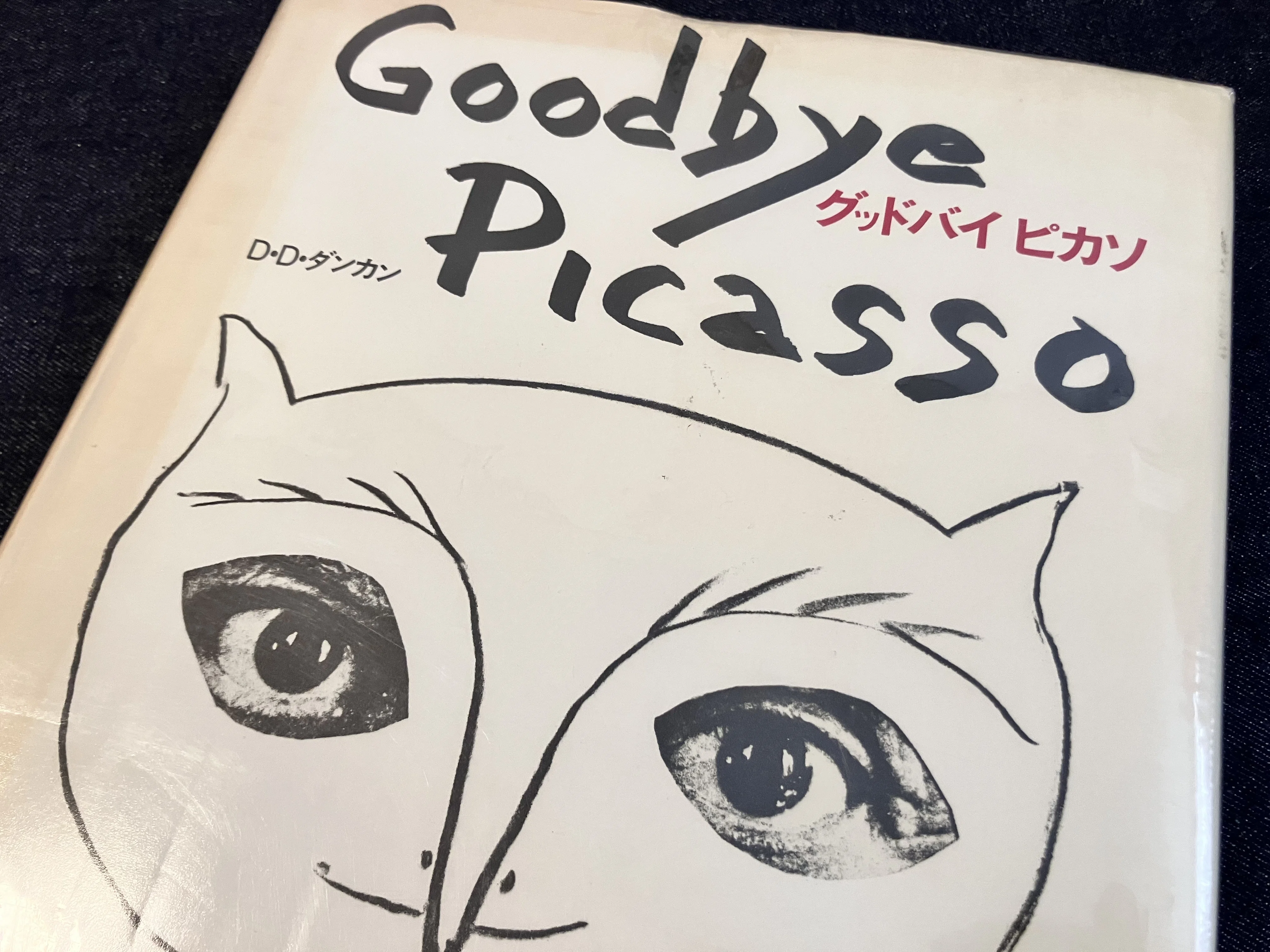 本 Photo Document Picasso my friend ピカソ