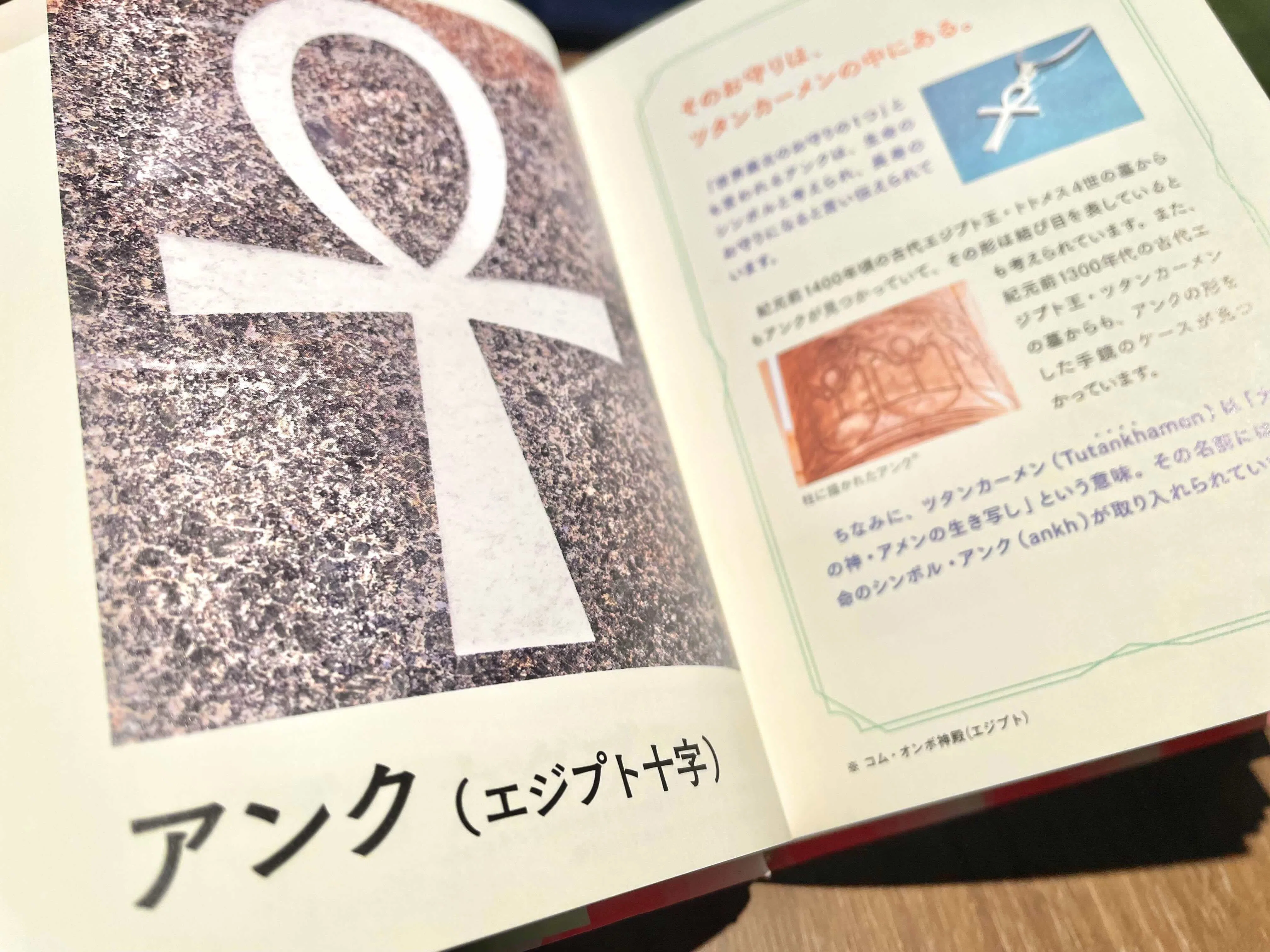 幸運を呼ぶ図鑑』の裏側（2）｜ペズル