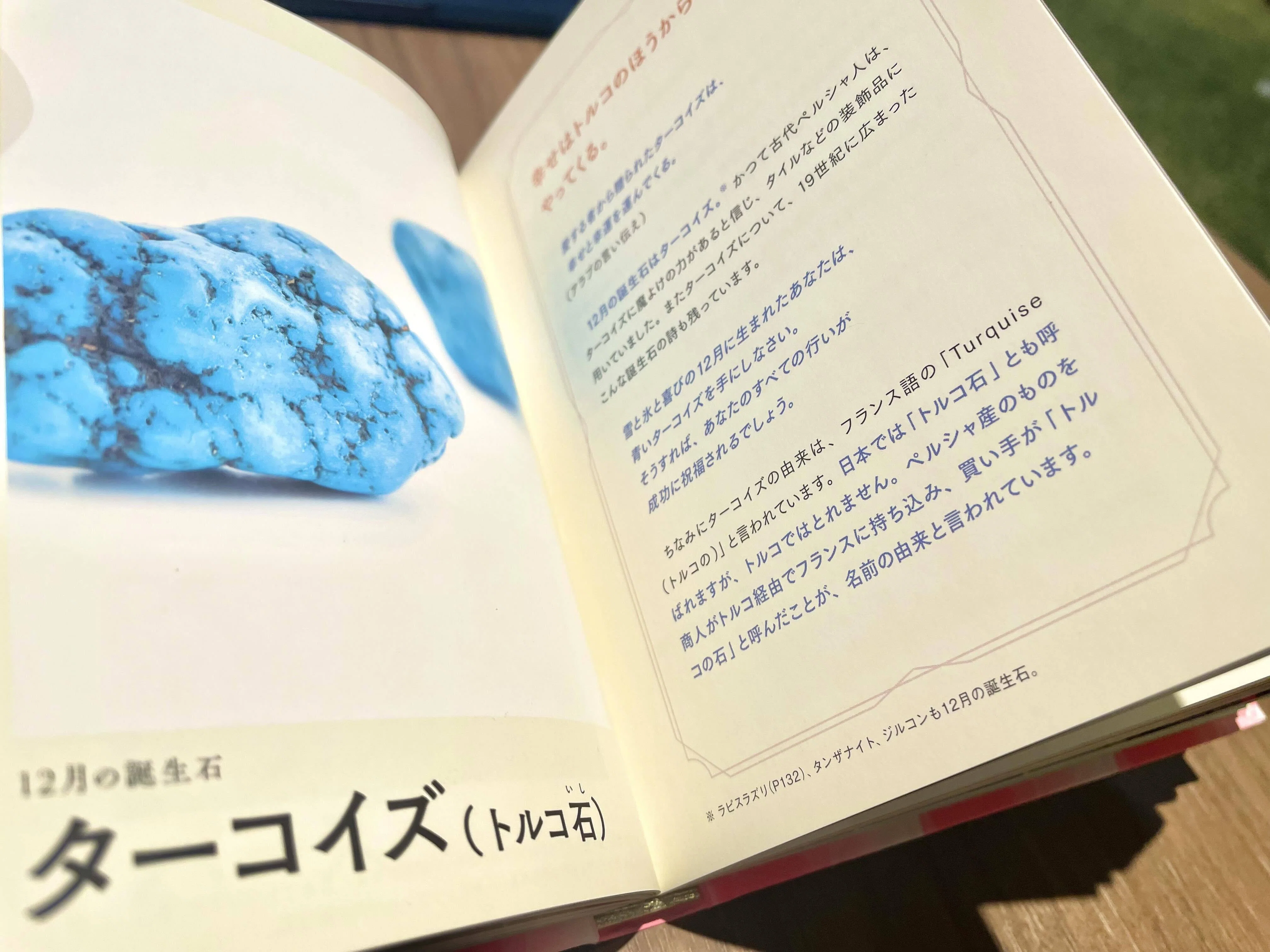 幸運を呼ぶ図鑑』の裏側（2）｜ペズル