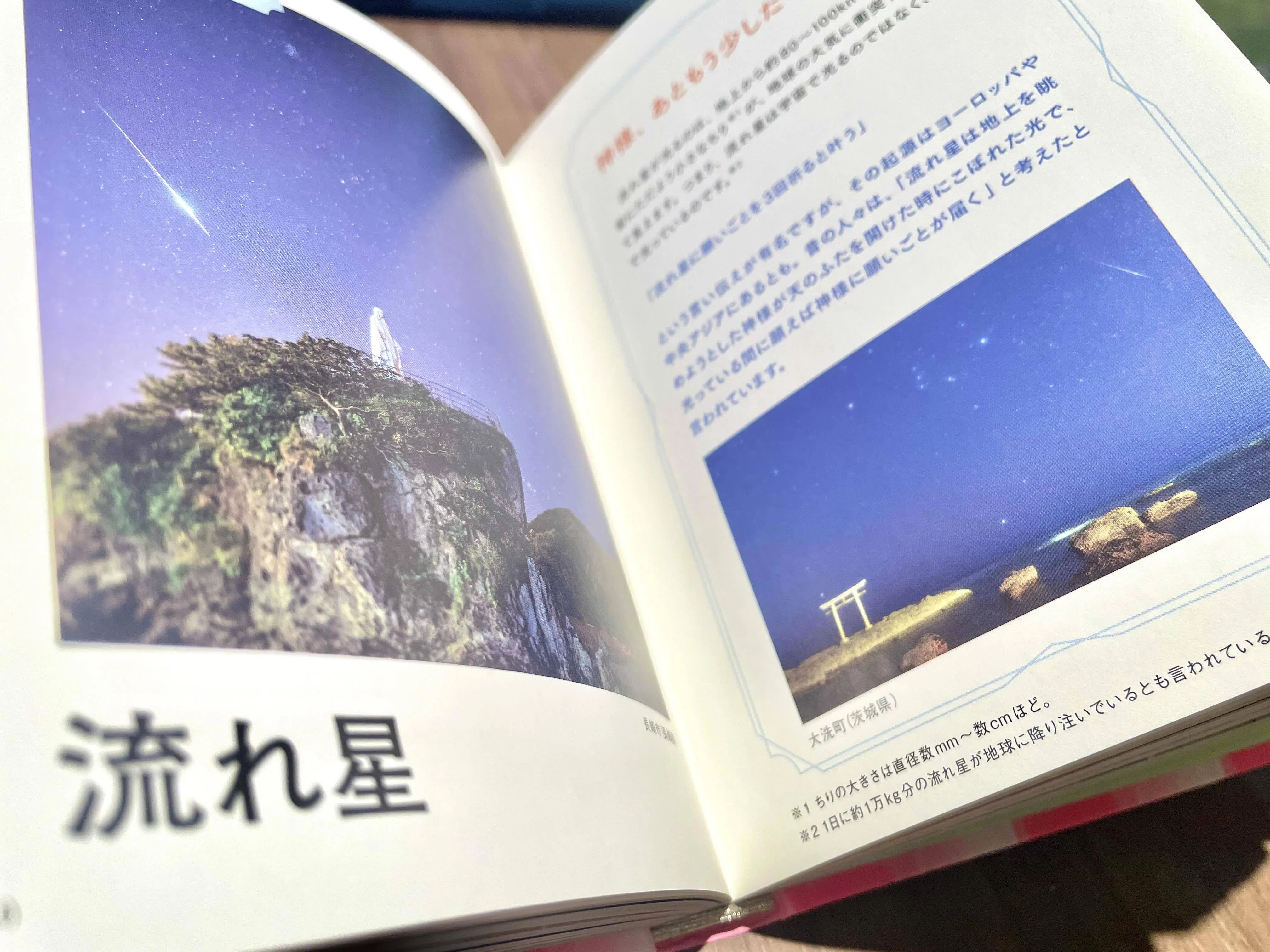 幸運を呼ぶ図鑑』の裏側（2）｜ペズル
