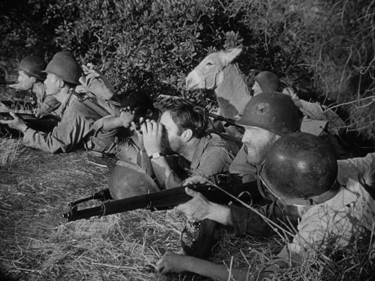 希少初公開時映画パンフ『鬼軍曹ザック』ゴダール推奨サミュエルフラー監督 忘れられた戦争を「現在形」で撮った男――サミュエル・フラーの『鬼軍曹