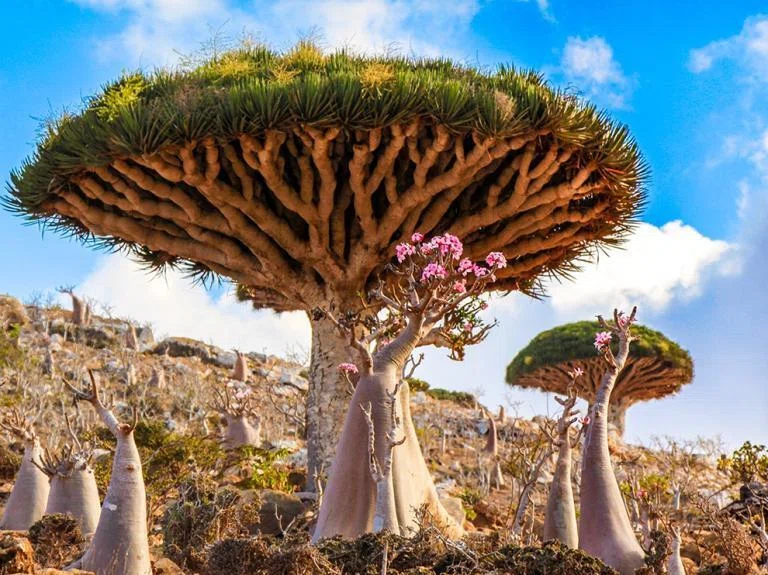 世界の珍しいおすすめ観光地10選｜Taku