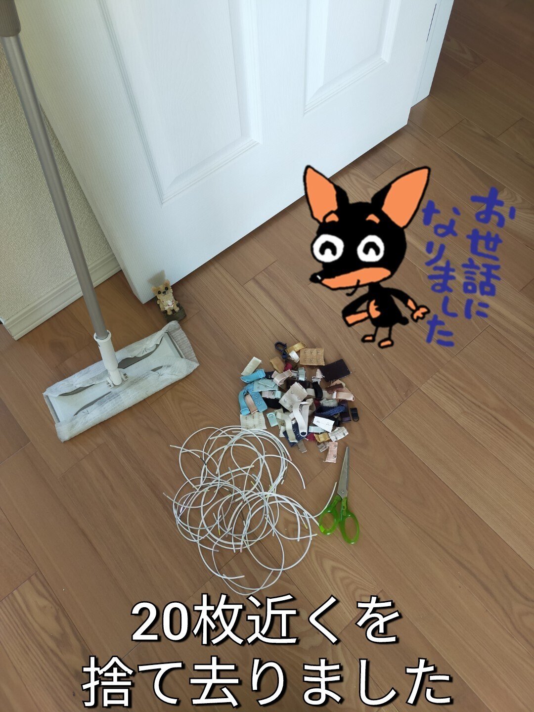 ブラジャーを大量に断捨離✨｜竹田めろんちゃん