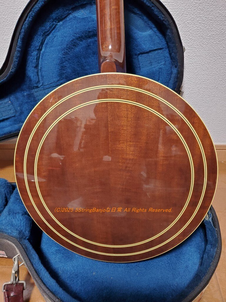 Mavis　バンジョー ステンレス ダブルバンジョーボルト M10 x (1.25mm) レーススペック