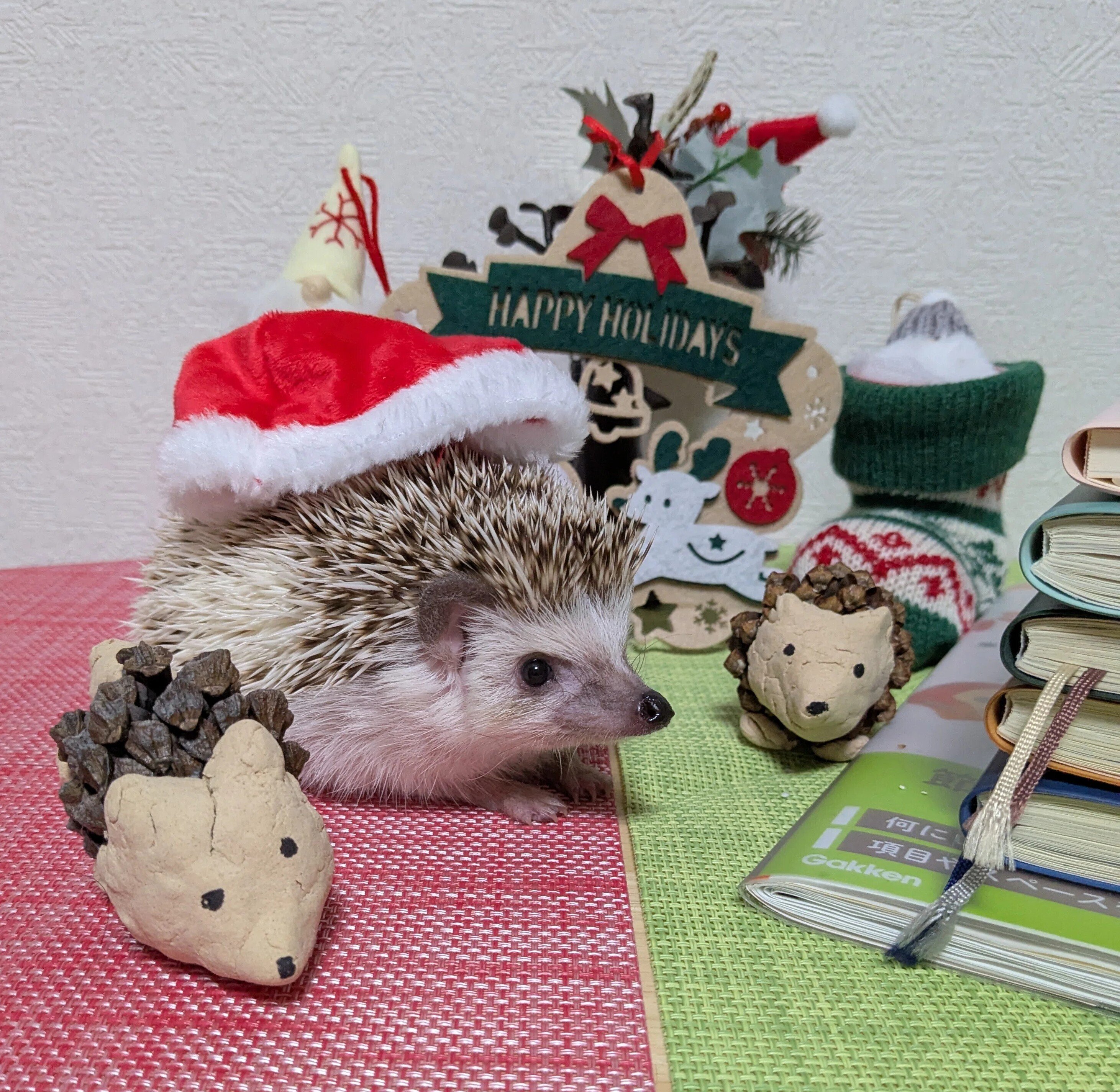 盛り沢山クリスマス☆ハリネズミ kazumeleさん @kazumele_the_shop のクリスマスオーナメントが新登場