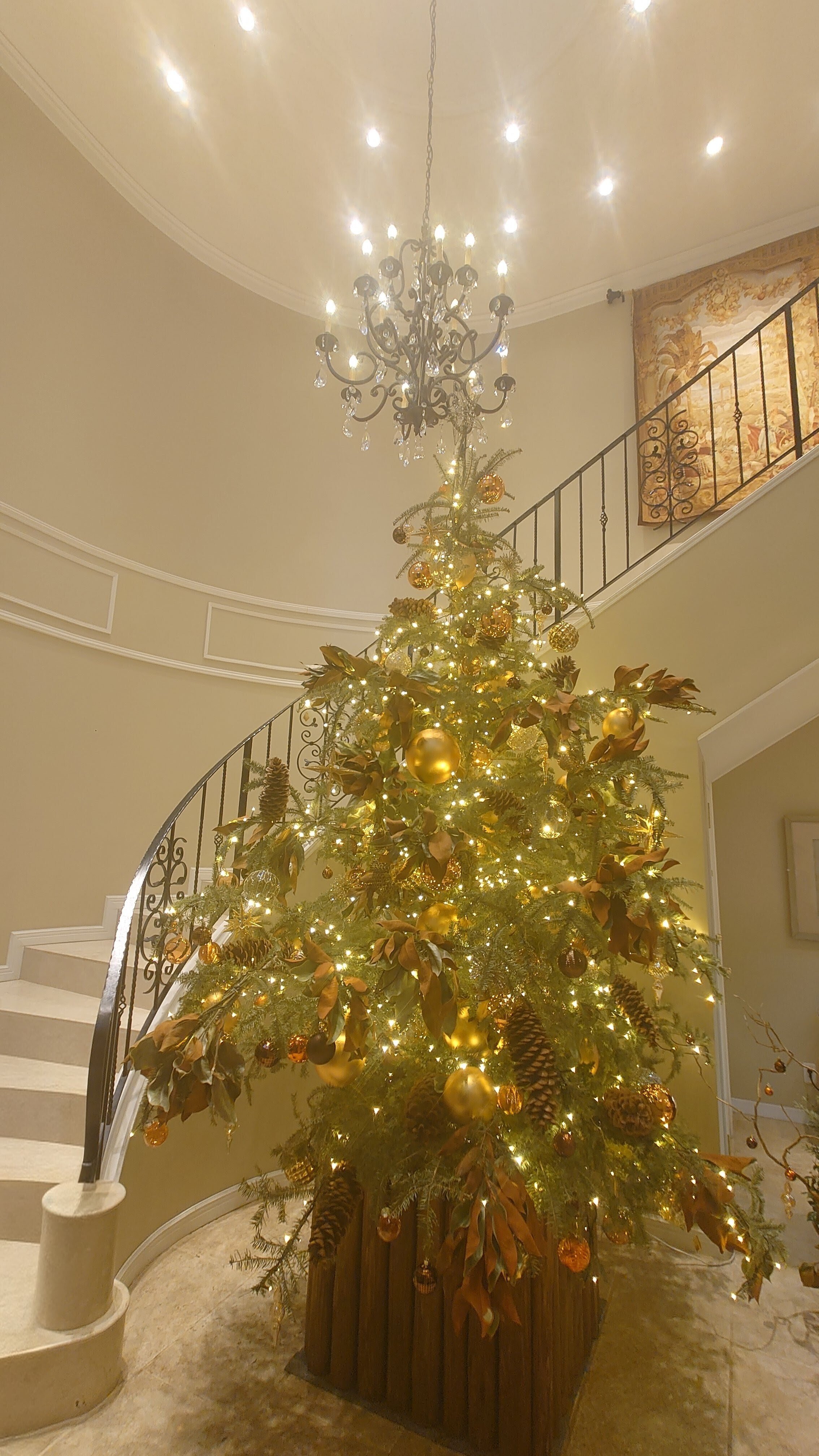 メリー・クリスマス☆｜NO.5diary