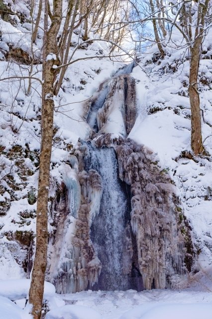 0602 神が宿る水の道・幻想的世界「奥入瀬渓流」（青森県）｜弥栄
