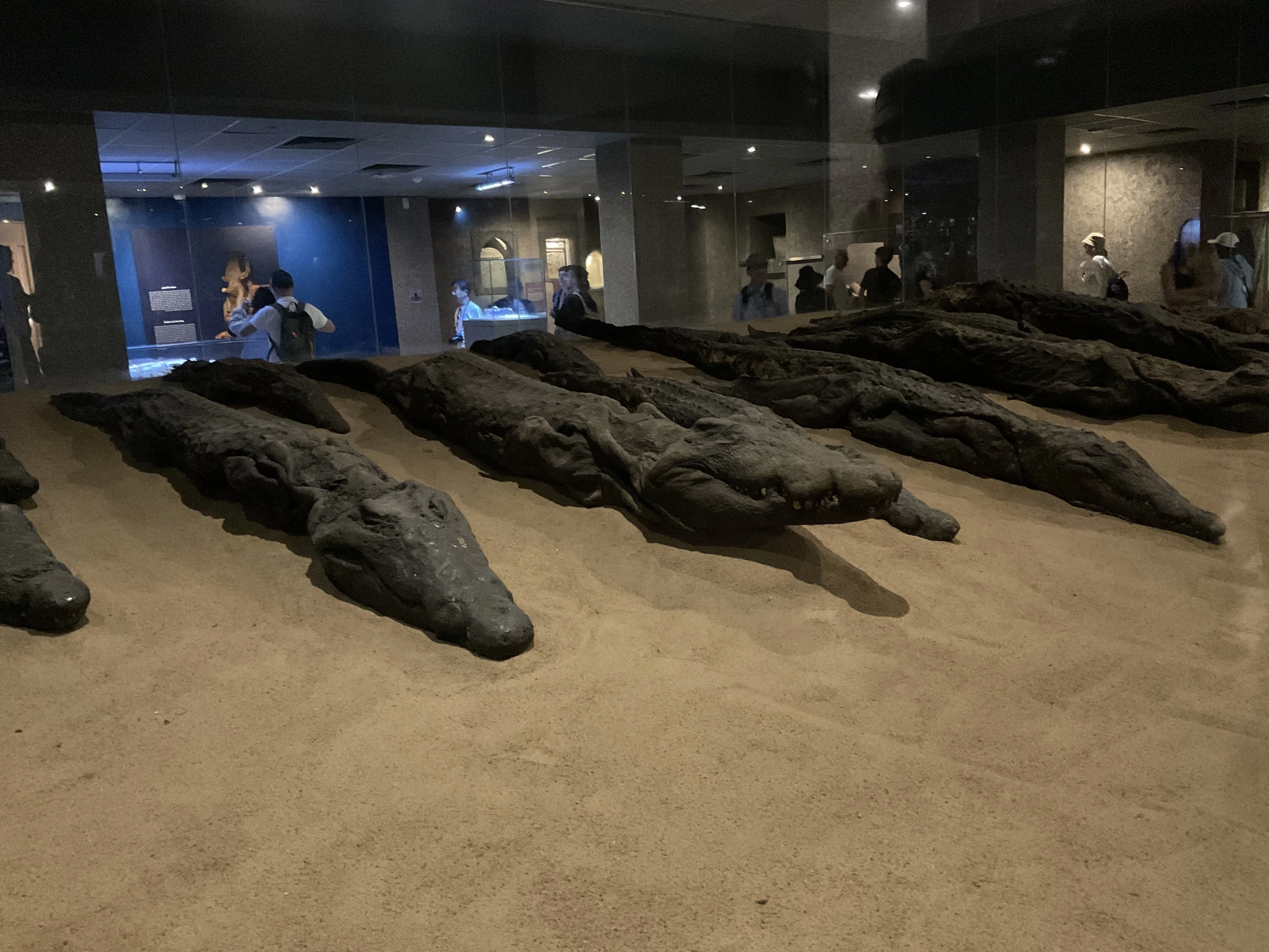 🐍コム・オンボ神殿〜ワニ神ソベクと太陽神ホルスの“ダブル神殿
