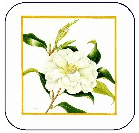 花壇地錦抄 （見驚 / 熊坂）｜伊藤伊兵衛 note