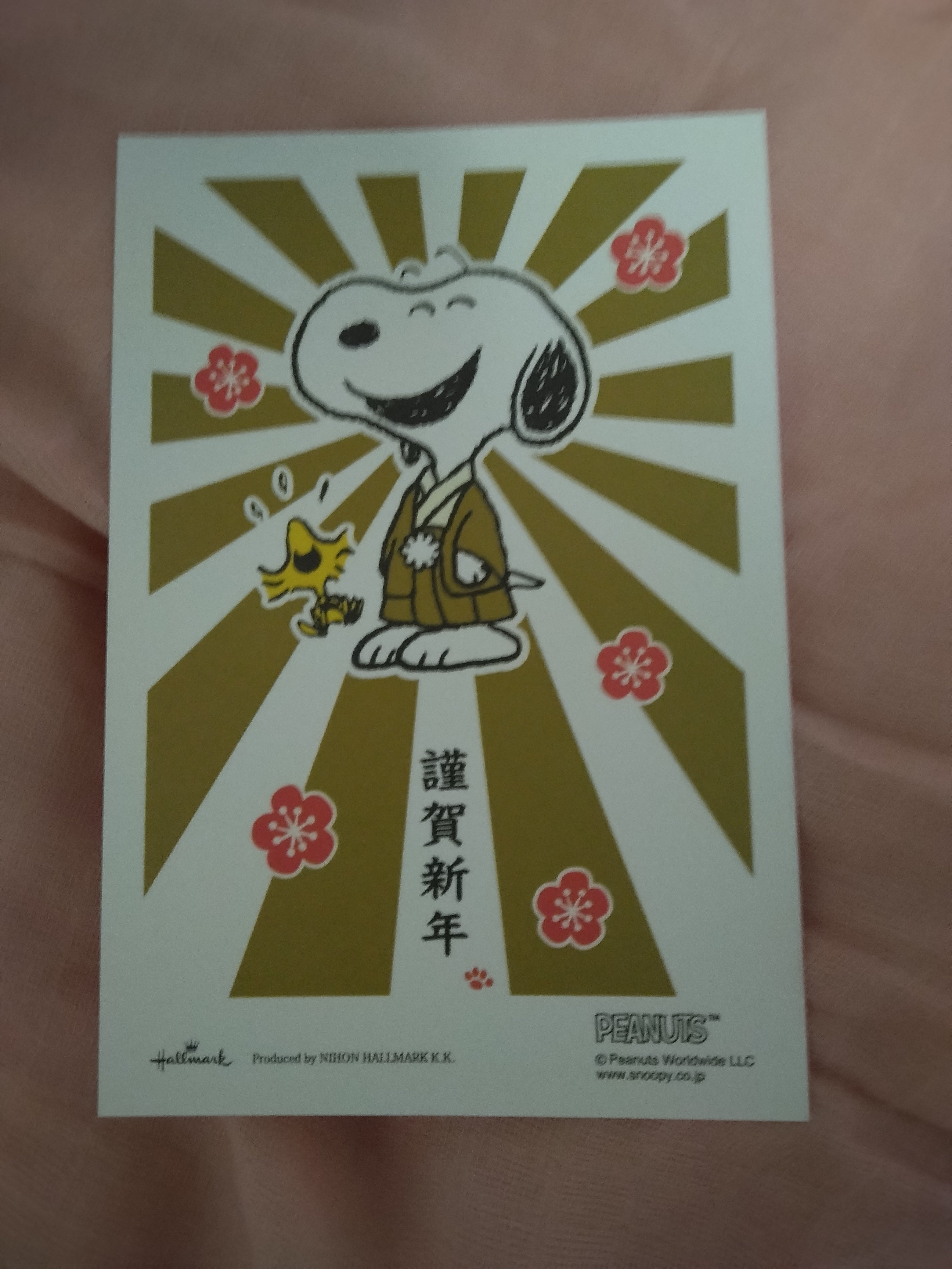 昭和っ子まるよか(昭和46年生まれ💦)が年賀状の写真をnote記事に載せ