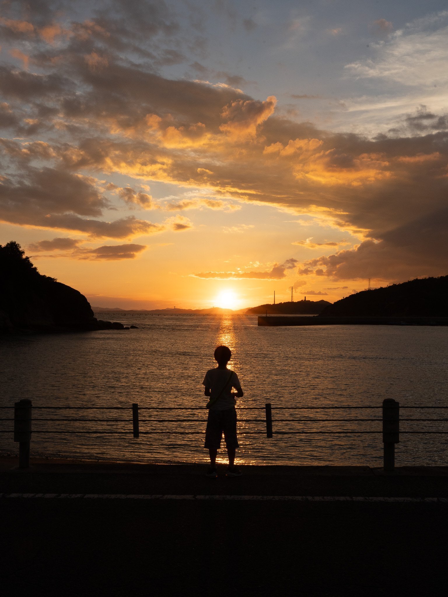 馬と古城夕陽が沈む雰囲気が出た作品です。 夕日照らす影のアート 松浦・土谷棚田 ／長崎 | 毎日新聞