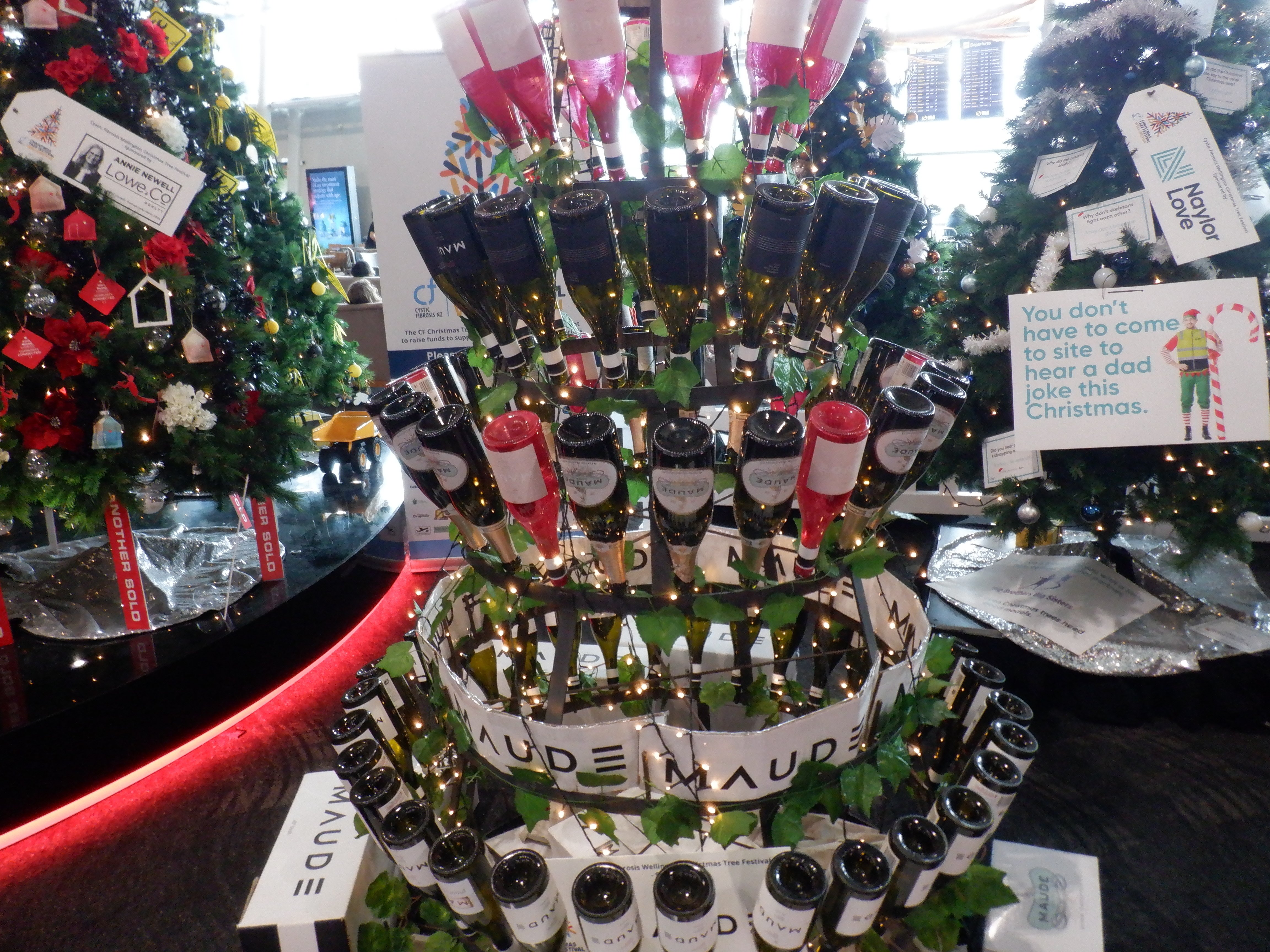 ニュージーランド 夏のクリスマス🏄と、その前後と…｜Yoshi@ニュージー