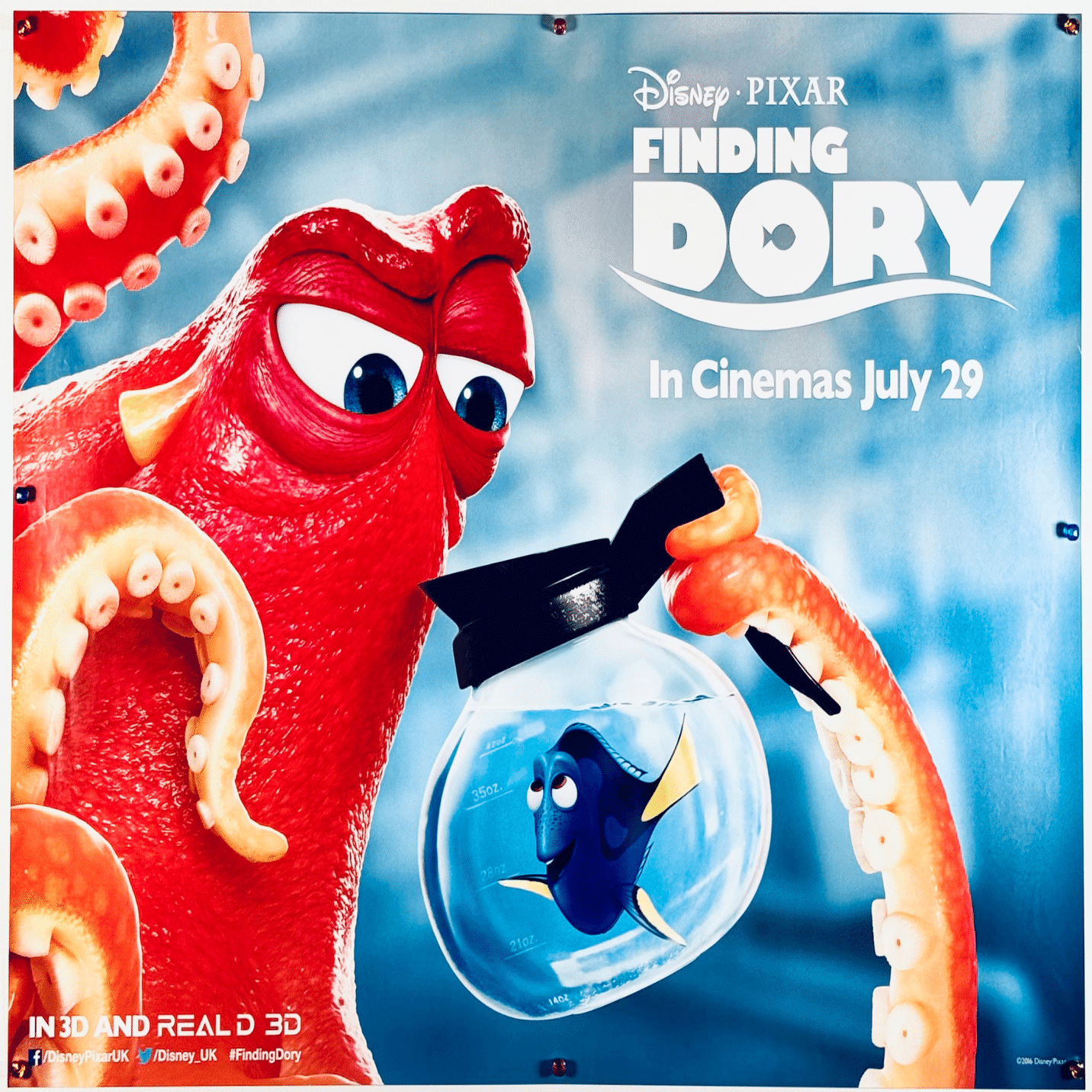 魚たちが暮らす海の世界！ファインディングニモ【海外版オリジナル映画