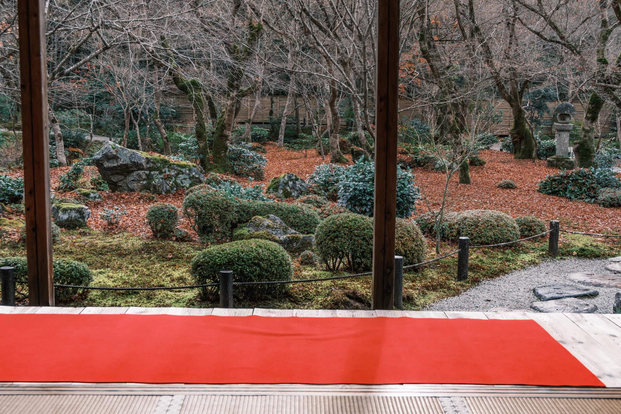 京都古寺散策 京都 Fujifilm X-T5で京都散策｜もりぞう