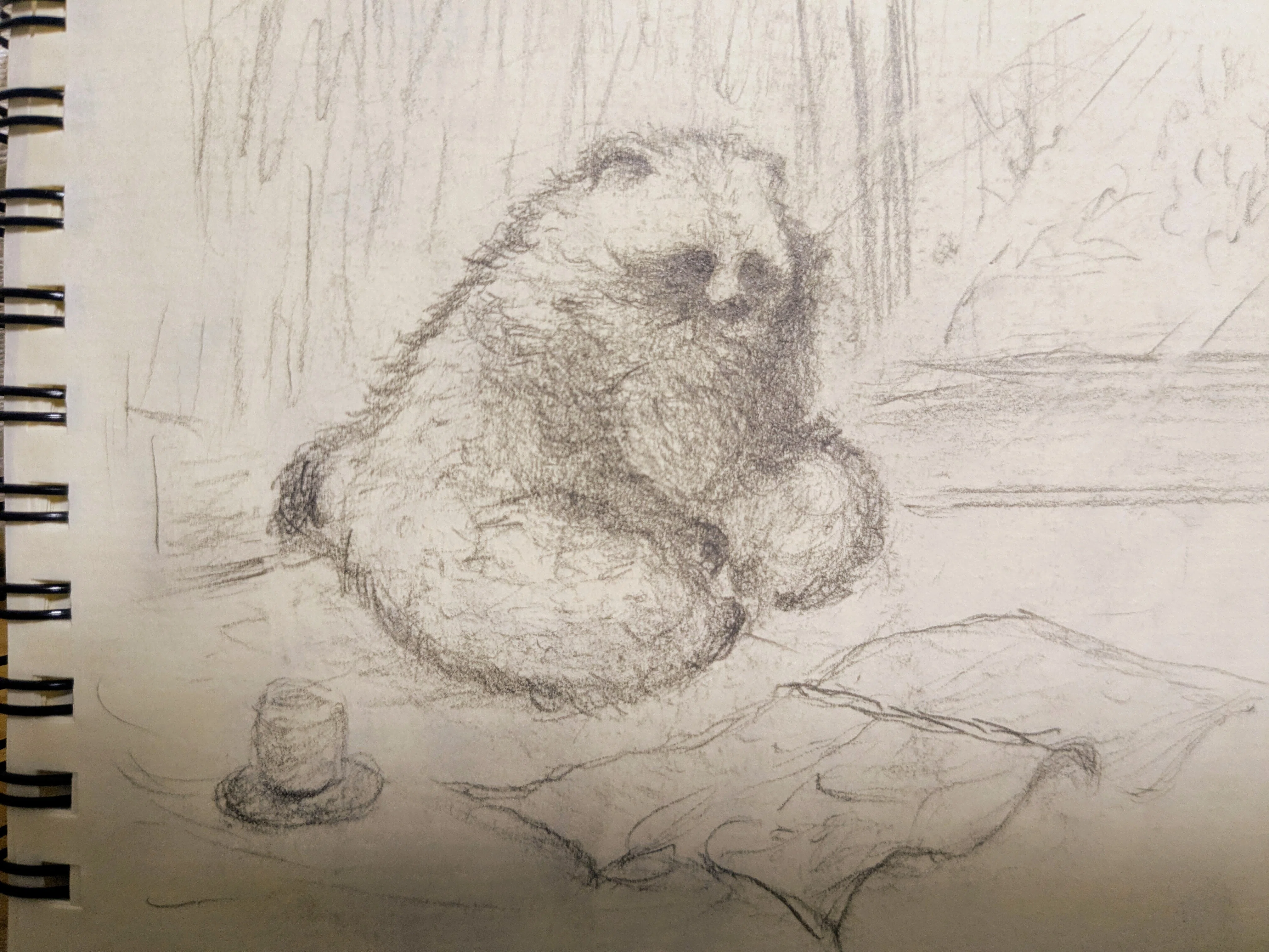 タヌキ絵で読書感想 │ 『たぬきの本 里山から街角まで』を読んでみた