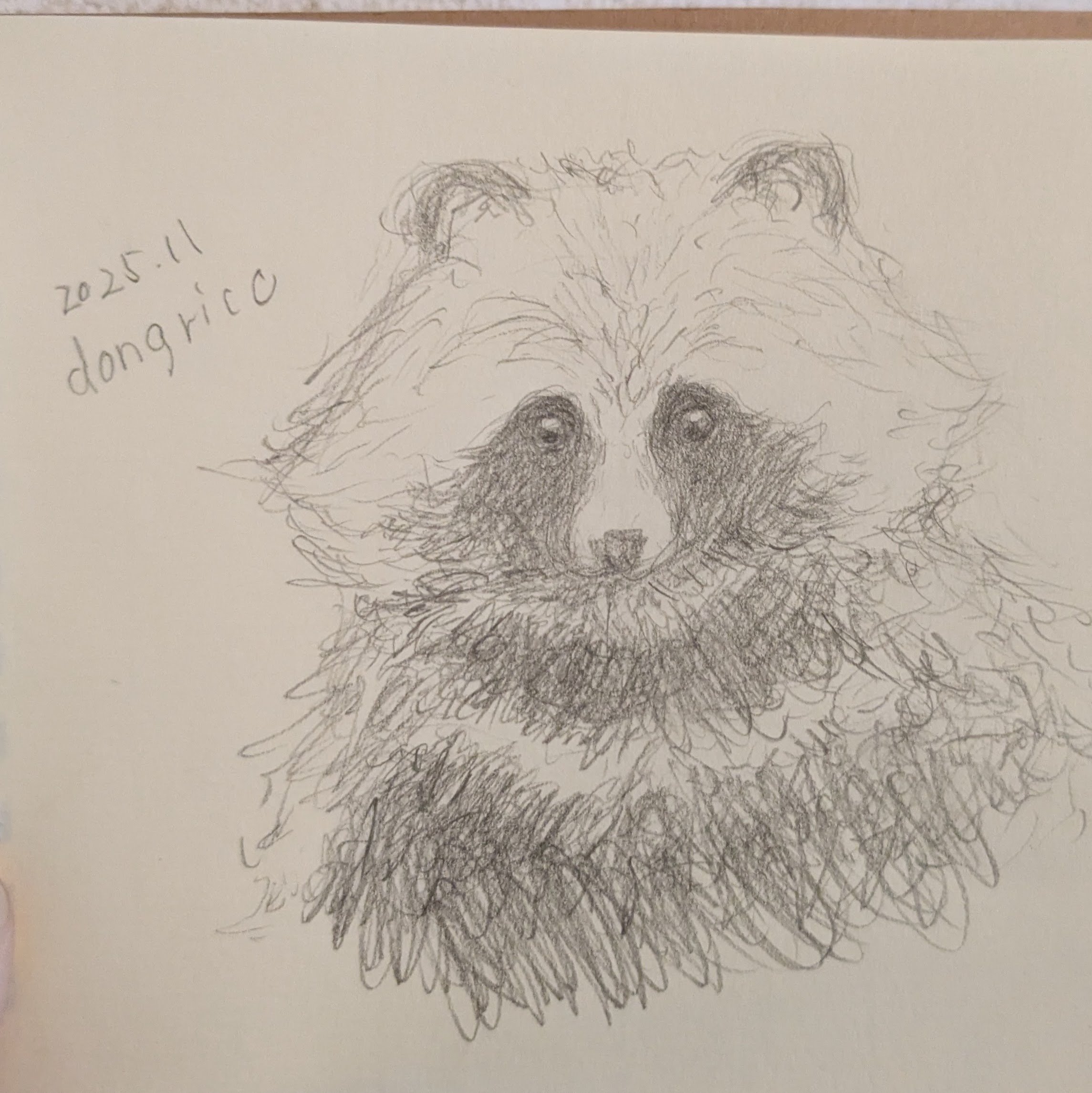 番外編：タヌキ絵で読書感想 │ 『たぬきの本 里山から街角まで』を