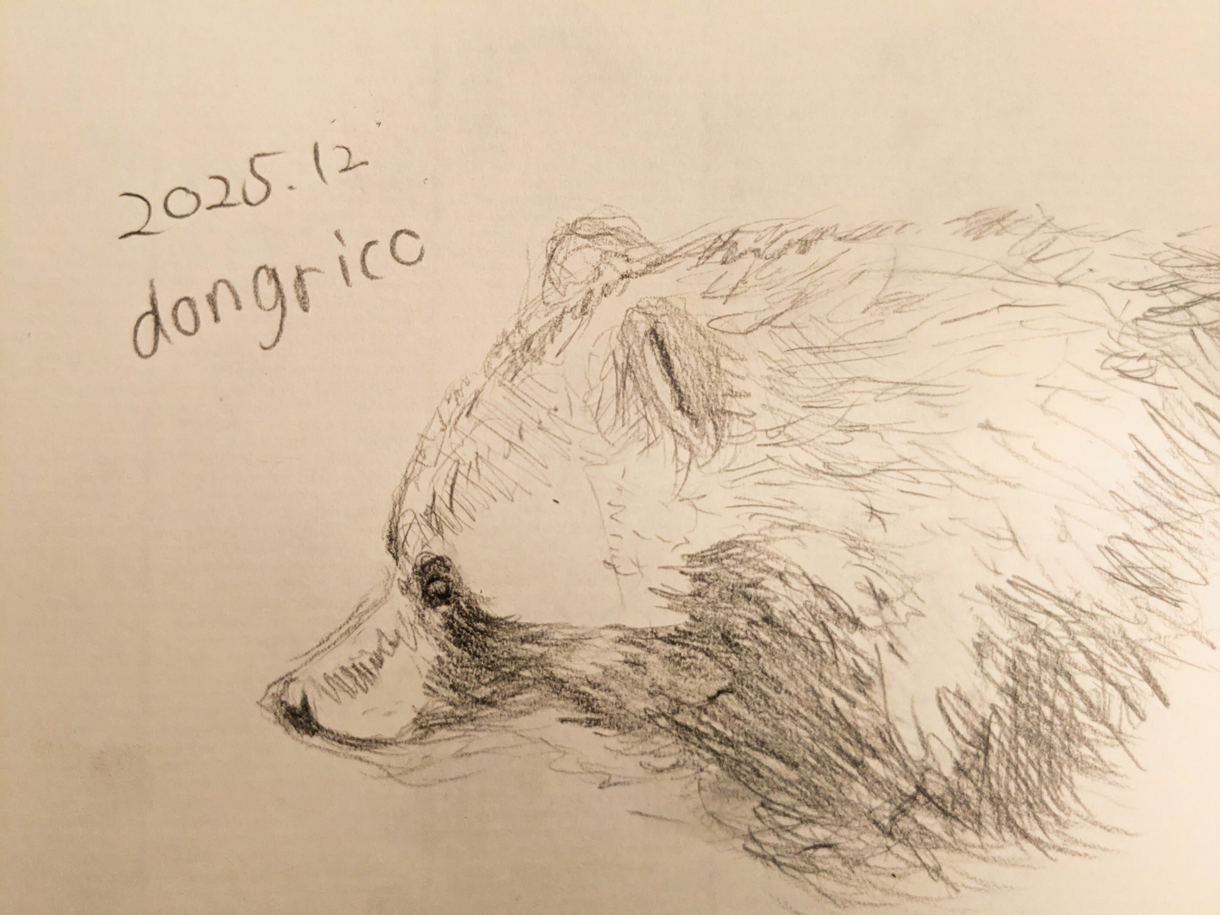 番外編：タヌキ絵で読書感想 │ 『たぬきの本 里山から街角まで』を