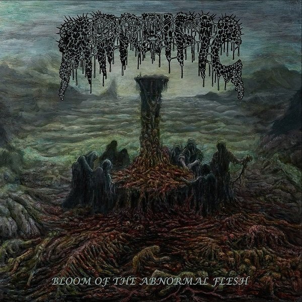 ブラックメタル デスメタル Night crowned 全アルバム ヘヴィメタル 3/3(火)~3/6(金)入荷> JAPANESE METAL,THRASH METAL,DEATH METAL,BLACK